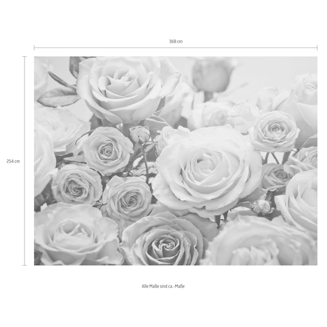 Komar Fototapete »Floraison«, 368x254 cm (Breite x Höhe), inklusive  Kleister online kaufen