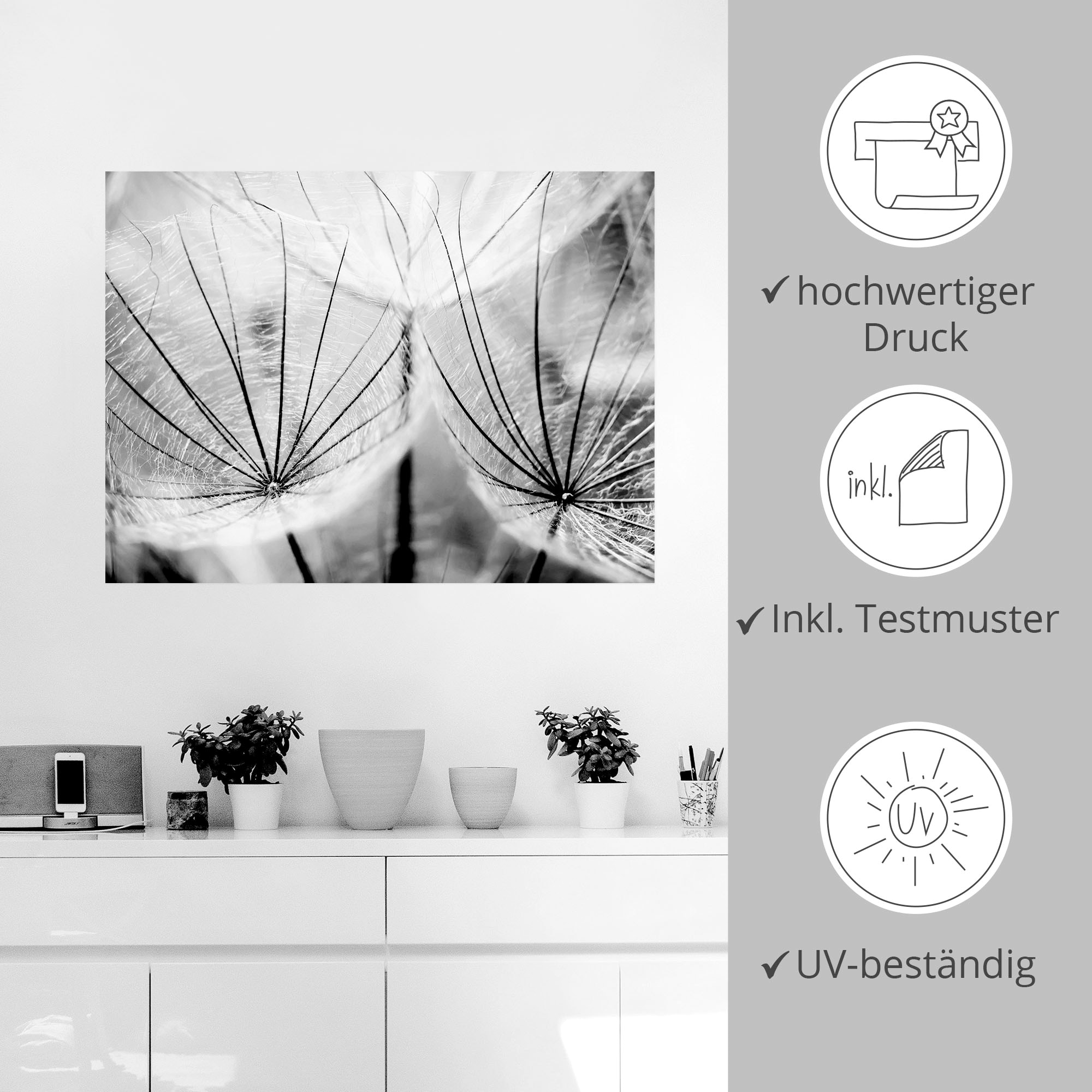 Artland Wandbild »Pusteblume in schwarzweiß«, Blumen, (1 St.), als Alubild, Outdoorbild, Leinwandbild, Poster, Wandaufkleber
