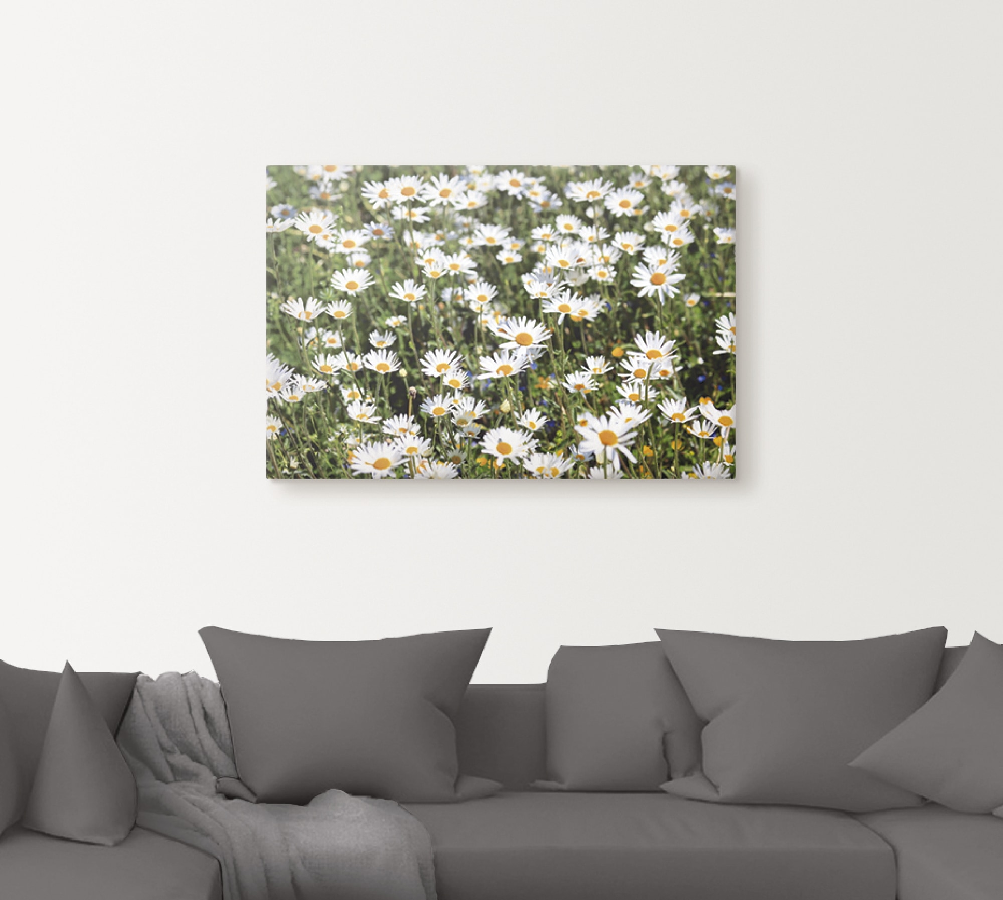 Artland Wandbild »Gänseblümchen«, Blumen, (1 St.), als Alubild, Outdoorbild, Leinwandbild in verschied. Größen