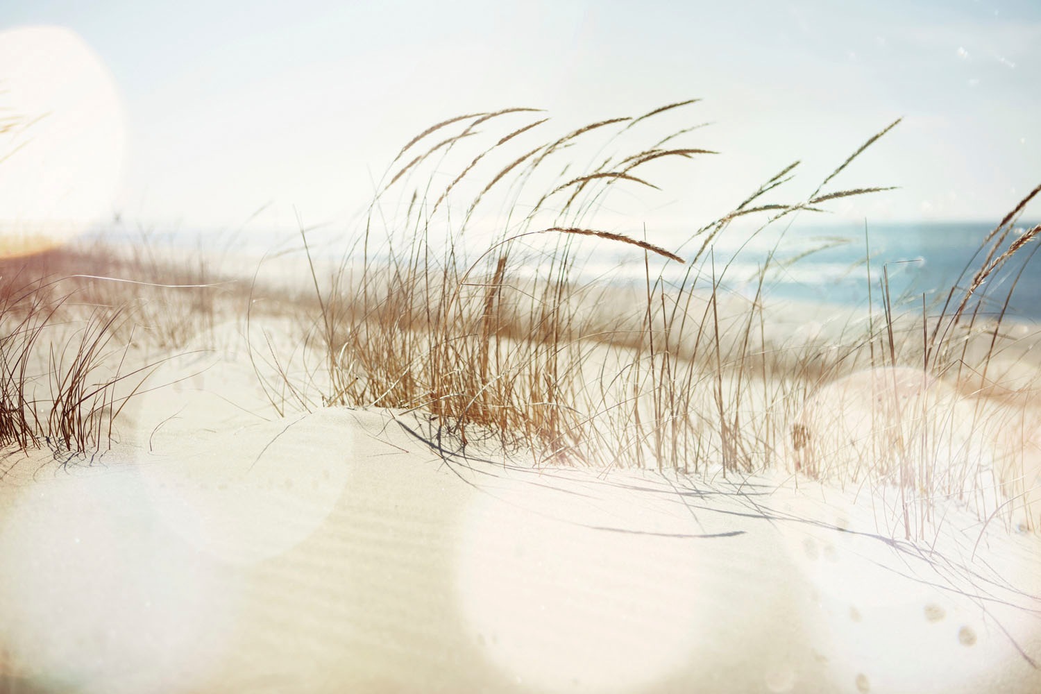 queence Acrylglasbild »Estan«, Strand-Himmel-Düne-Deutschland-Gräser-Meer-M günstig online kaufen