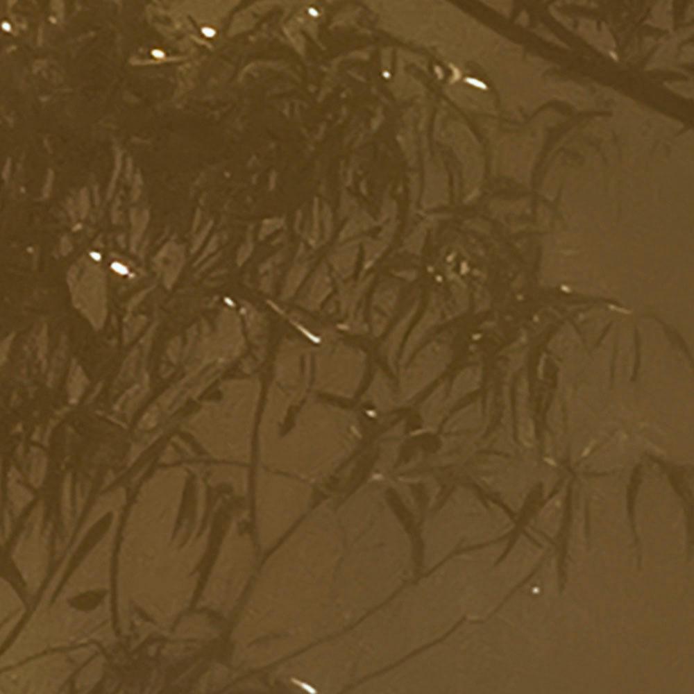 Komar Fototapete »Digitaldruck Vlies - Foggy Sunshine - Größe 400 x 250 cm«, bedruckt, Wohnzimmer, Schlafzimmer