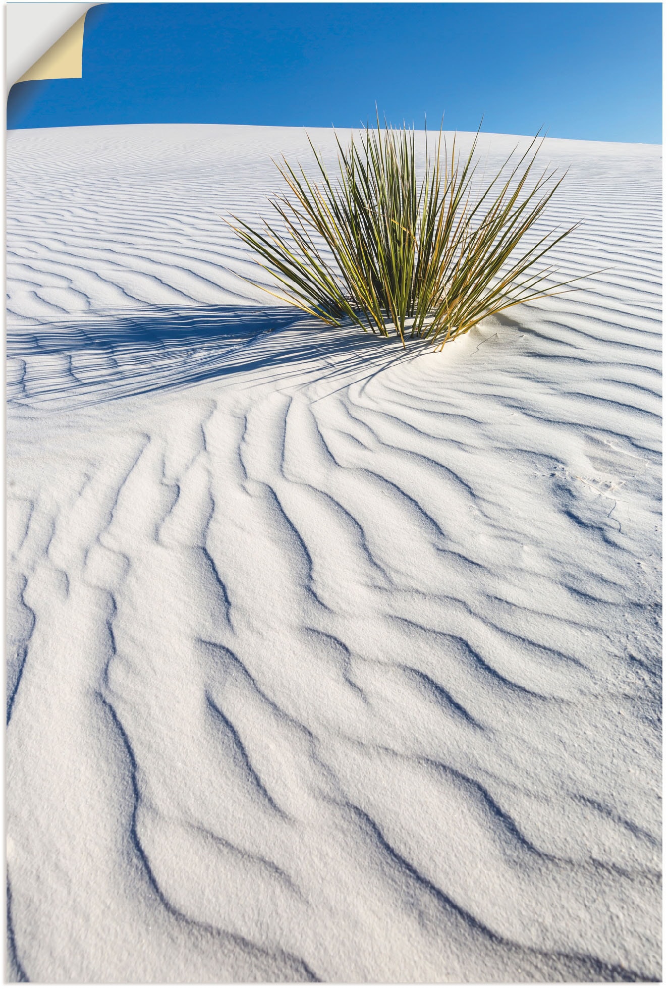 Artland Wandbild »Dünen White Sands«, Wüstenbilder, (1 St.), als Alubild,  Leinwandbild, Wandaufkleber oder Poster in versch. Größen auf Raten  bestellen