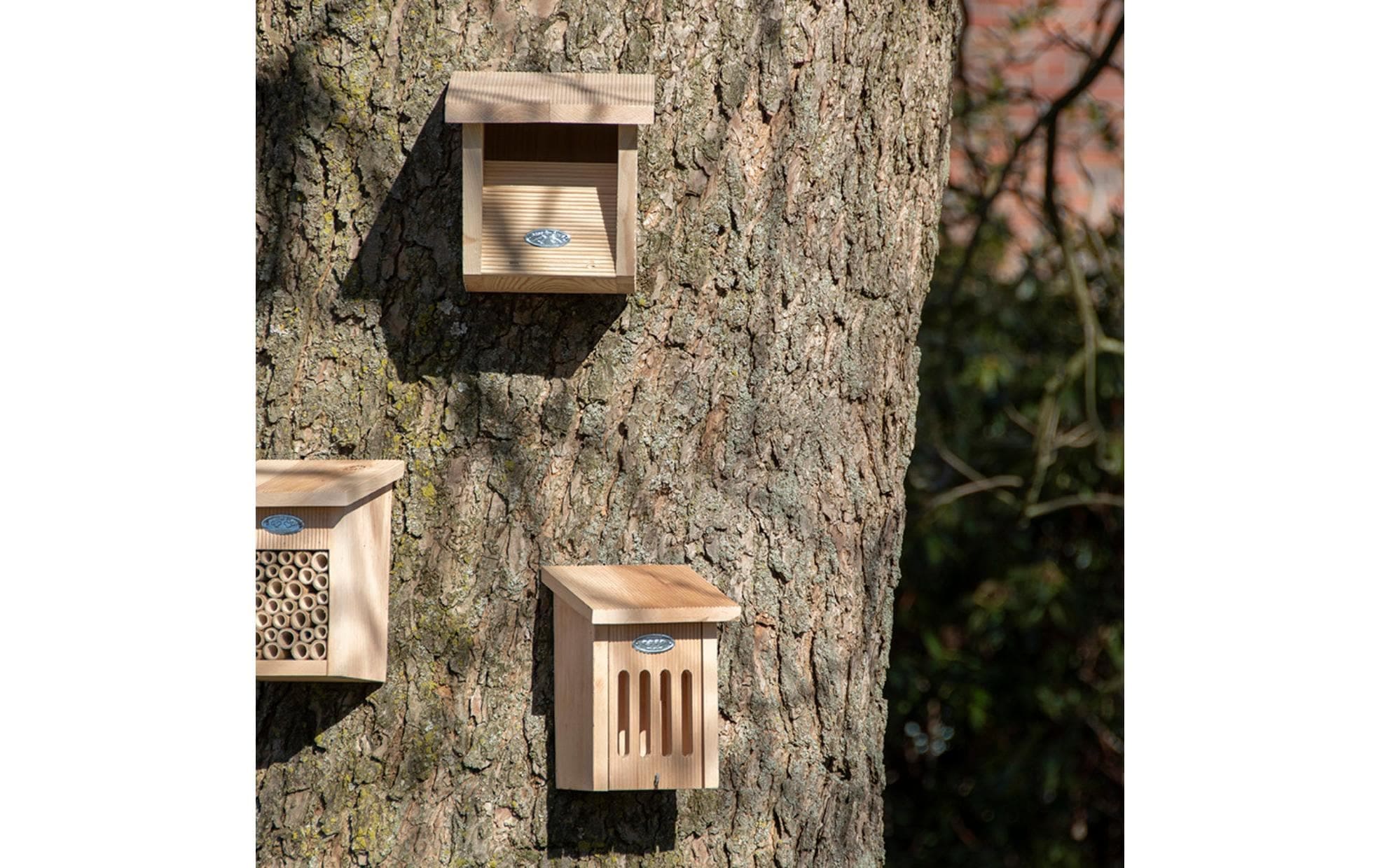 esschert design Nistkasten »Rotkehlchen« Holzart: Erle