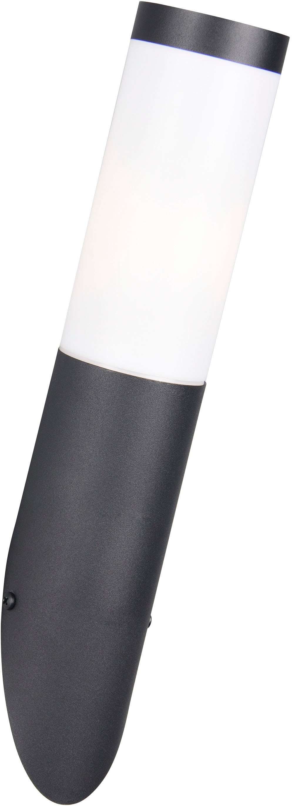 TRIO Leuchten Außen-Wandleuchte »TRIOTO, Outdoor Wandlampe Edelstahl, Wandf günstig online kaufen