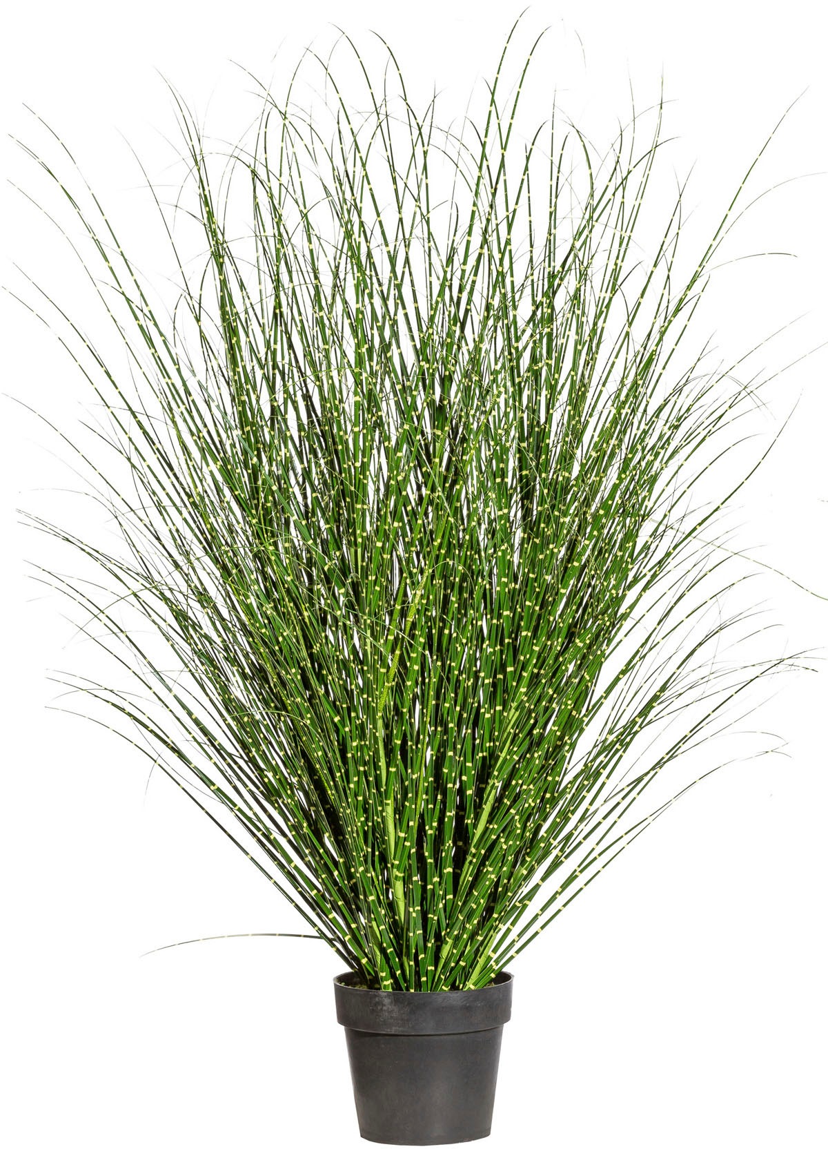 Kunstgras Miscanthus Zebrinus, Creativ green, Höhe günstig online kaufen
