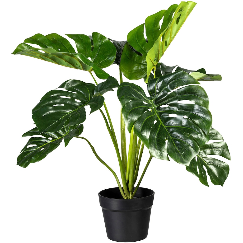 Creativ green Künstliche Zimmerpflanze »Splitphilodendron«