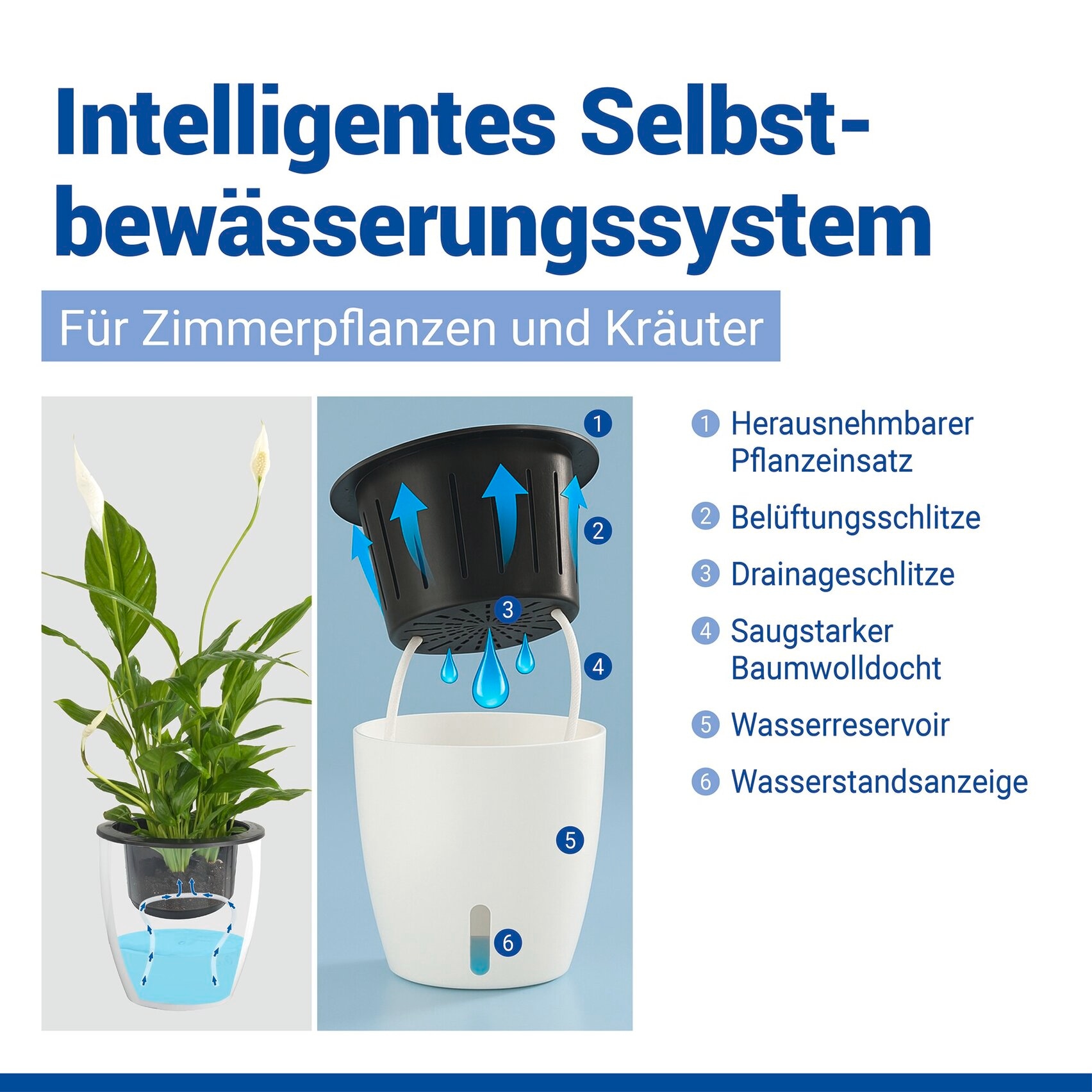 Maximex Pflanzschale »Selbstbewässernde Pflanztöpfe« 18x19 cm, mit Wasserstandsanzeige