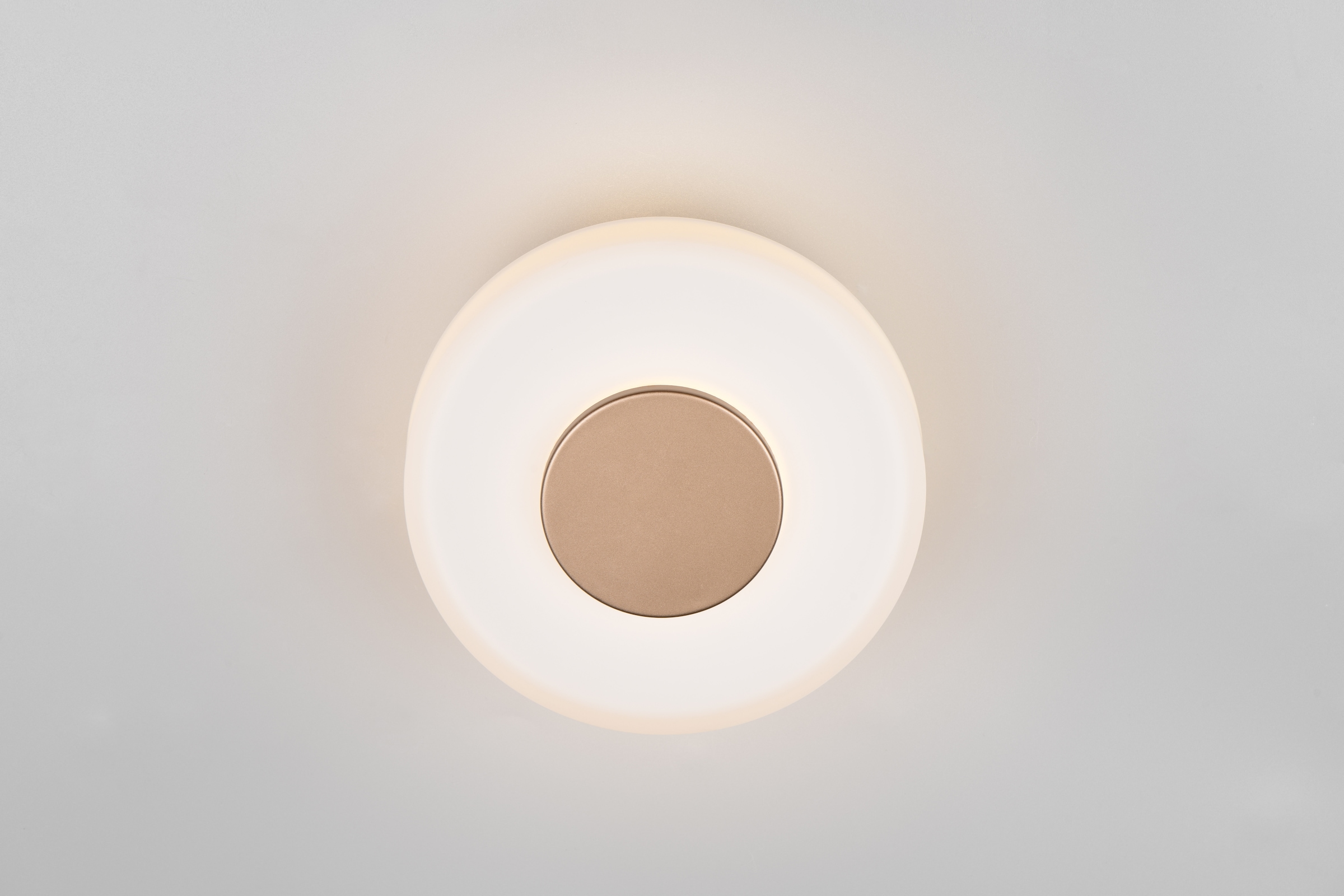 TRIO Leuchten LED Wandleuchte »CELESTE, LED Wandlampe aus Metall und Glas Ø 22cm, 10W 1100 Lumen«, 1 flammig, Leuchtmittel LED-Board | LED fest integriert, 3-Stufen dimmbar über Wandschalter, elegante moderne Wandlampe Flur