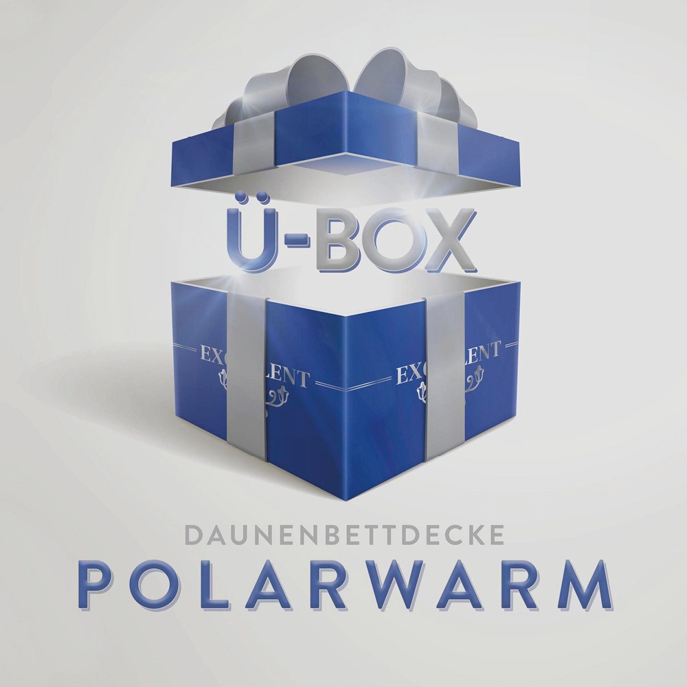 Excellent Daunenbettdecke »Überraschungsbox«, polarwarm, Füllung 90% Daunen günstig online kaufen