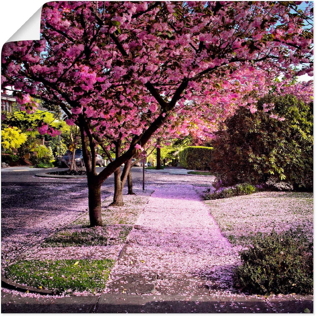 Artland Wandbild »Fallende Blütenblätter«, Bäume, (1 St.)