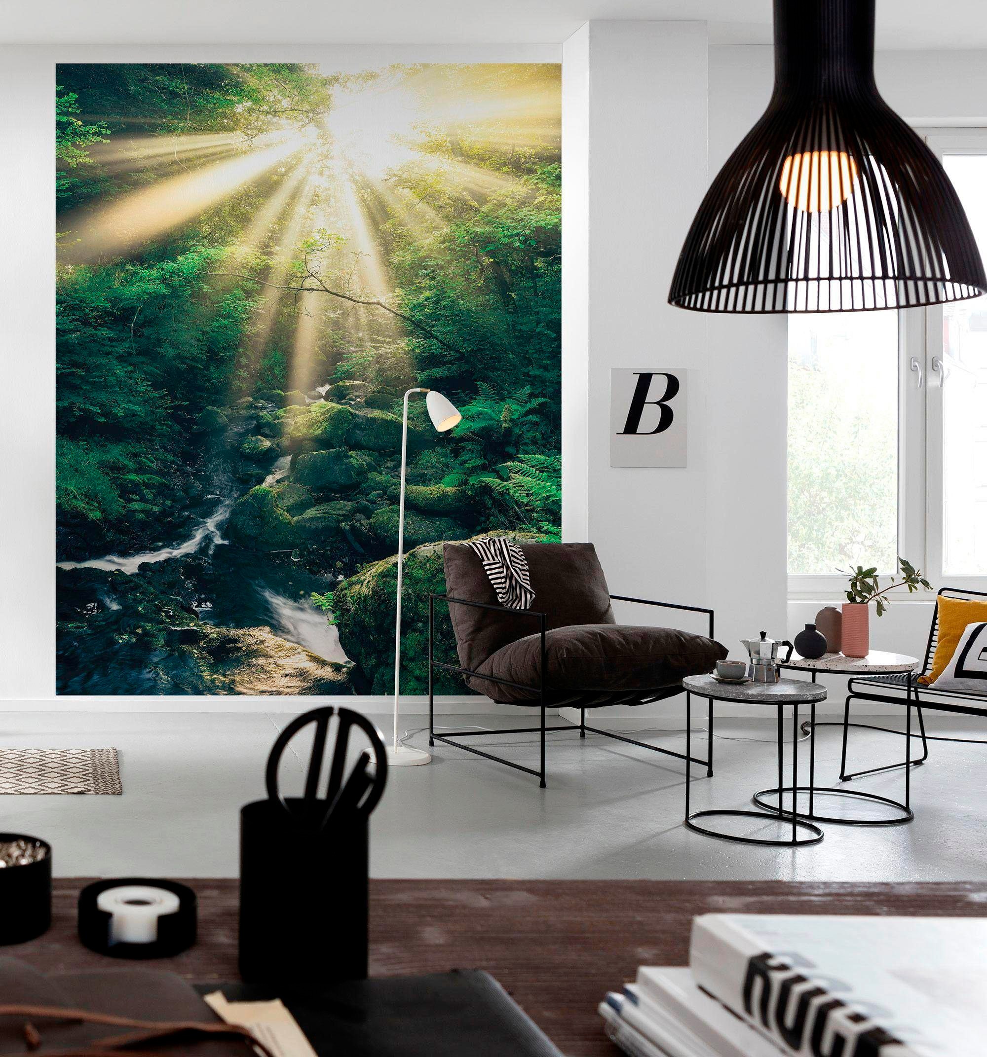 Komar Vliestapete »Divine«, 200x250 cm (Breite x Höhe), Vliestapete, 100 cm günstig online kaufen