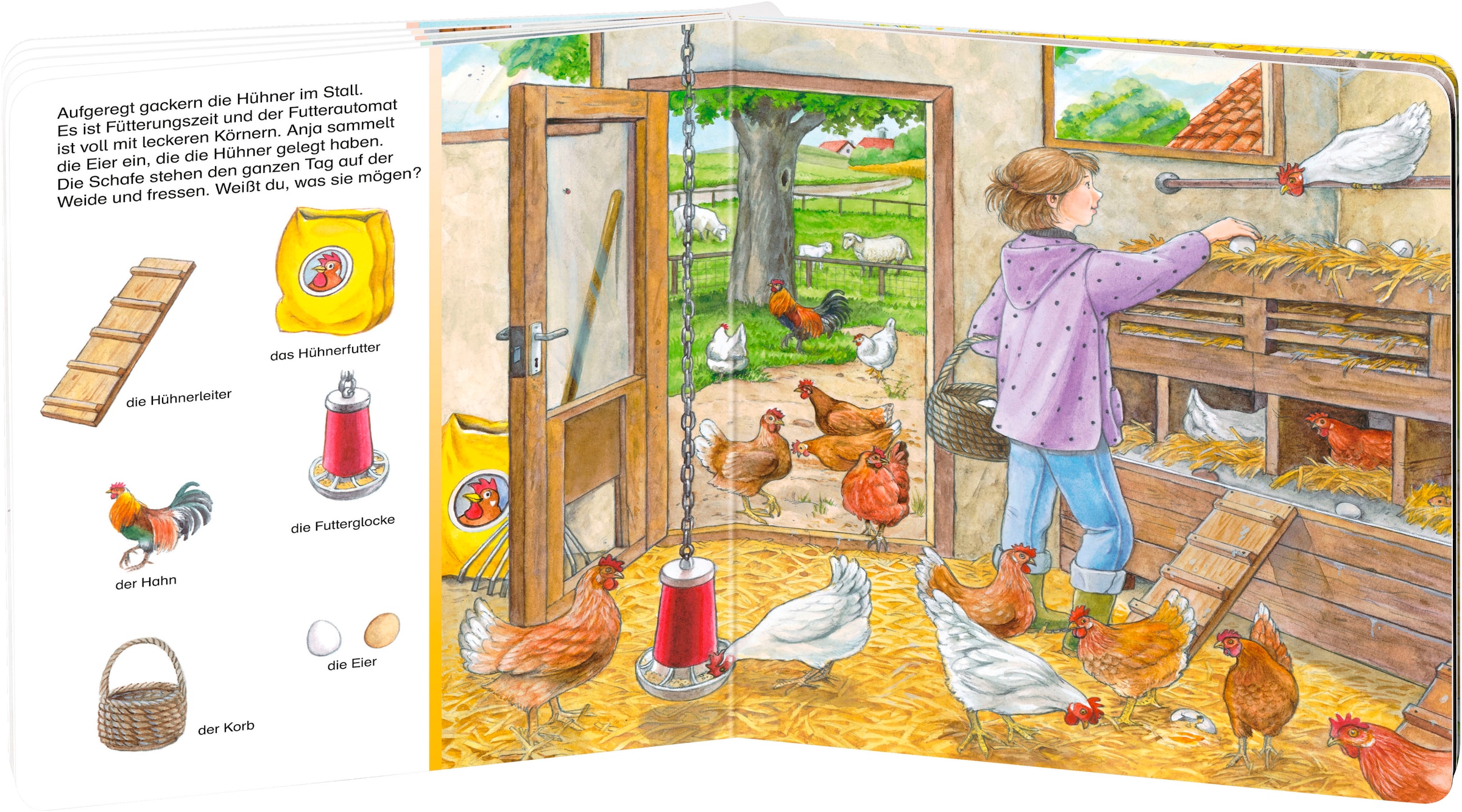 Ravensburger »Pappbilderbuch, Sachen suchen Auf dem Bauernhof«