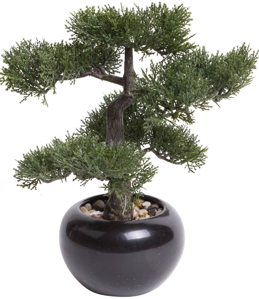 Botanic-Haus Kunstbonsai »Ceder Bonsai« günstig online kaufen
