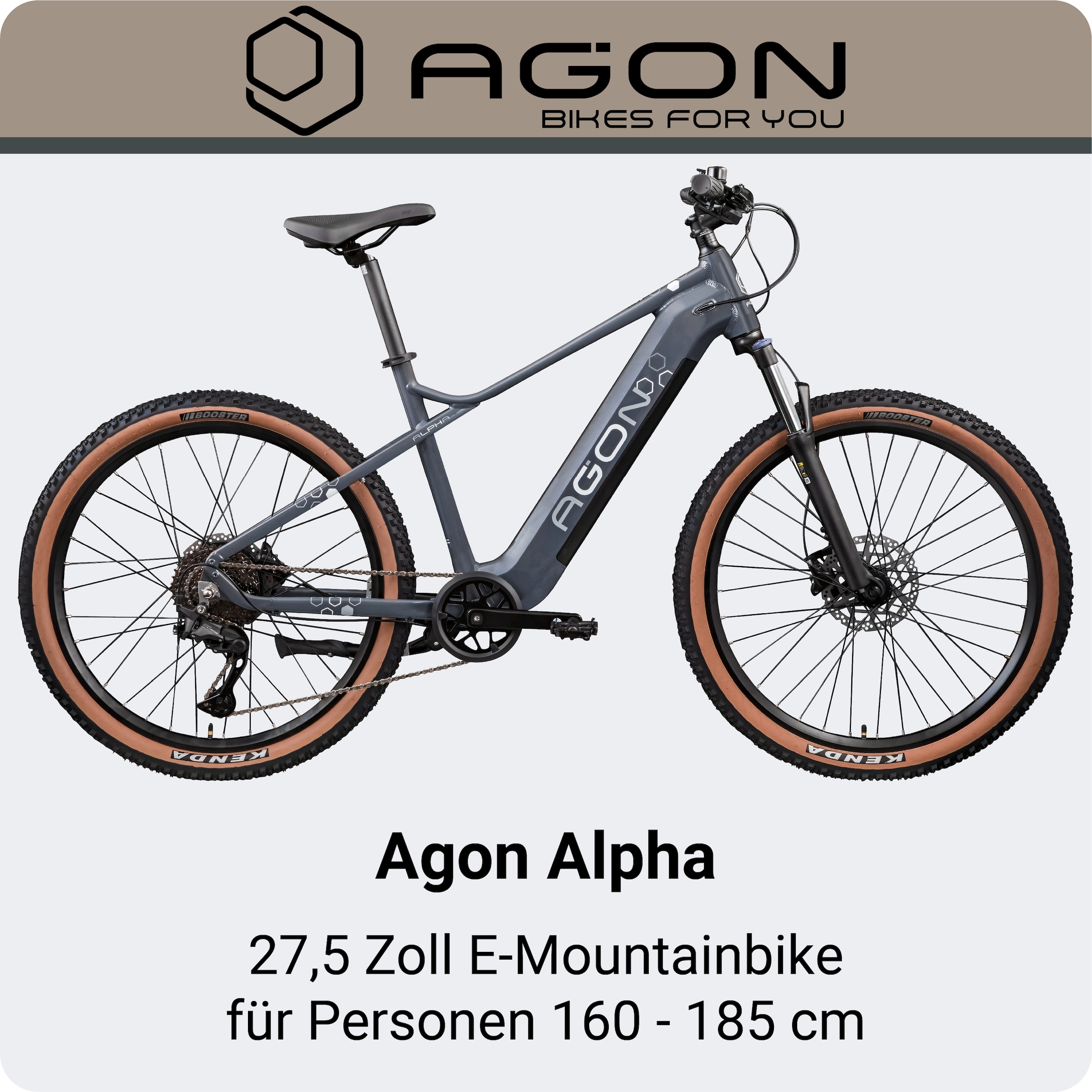 AGON »Alpha« 10 Gang Deore SGS T6000 Schaltwerk Kettenschaltung Heckmotor 250 W Pedelec, Elektrofahrrad für Damen u. Herren, MTB