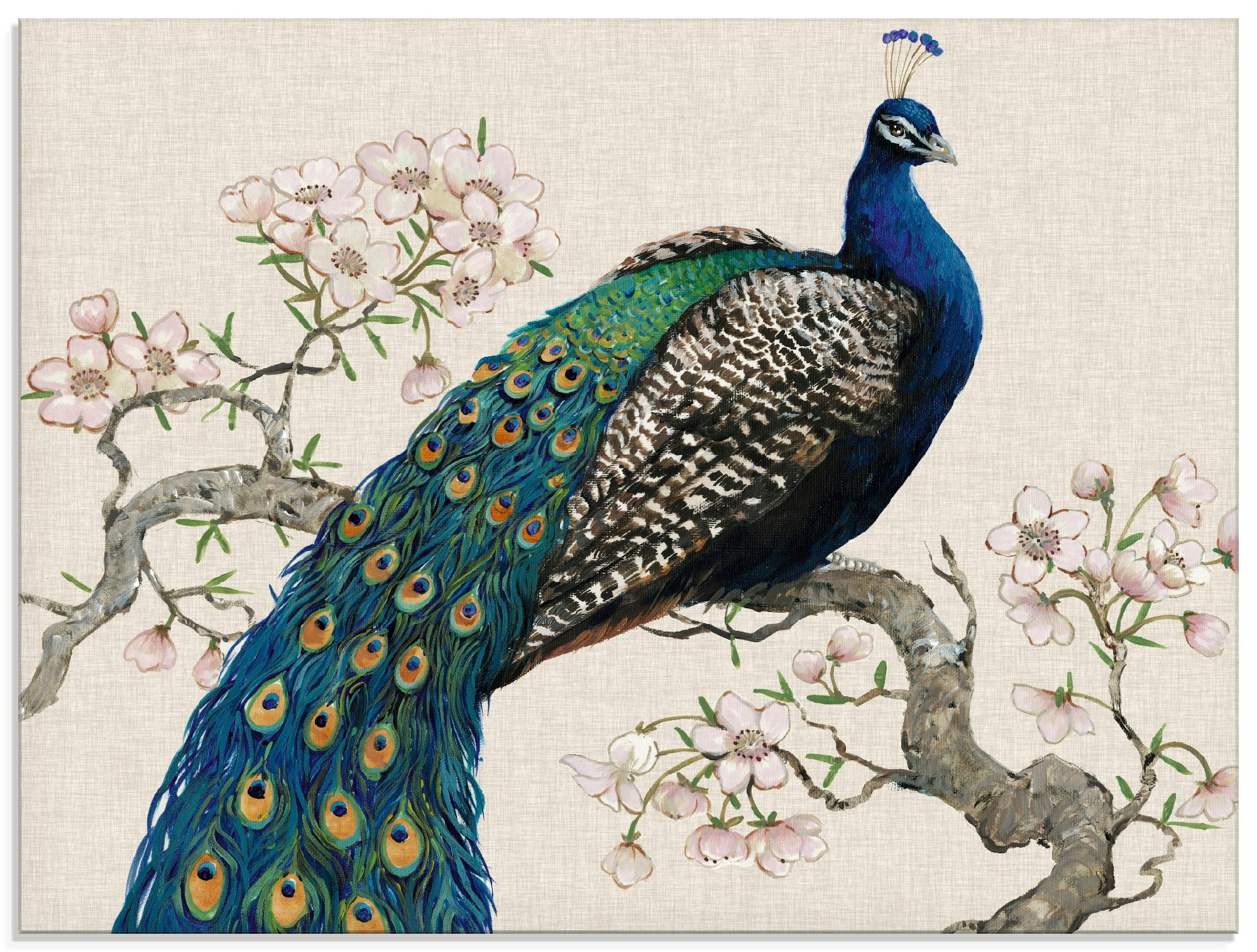 Artland Glasbild »Pfau & in Vögel, I«, Größen Raten Blüten auf (1 kaufen St.), verschiedenen