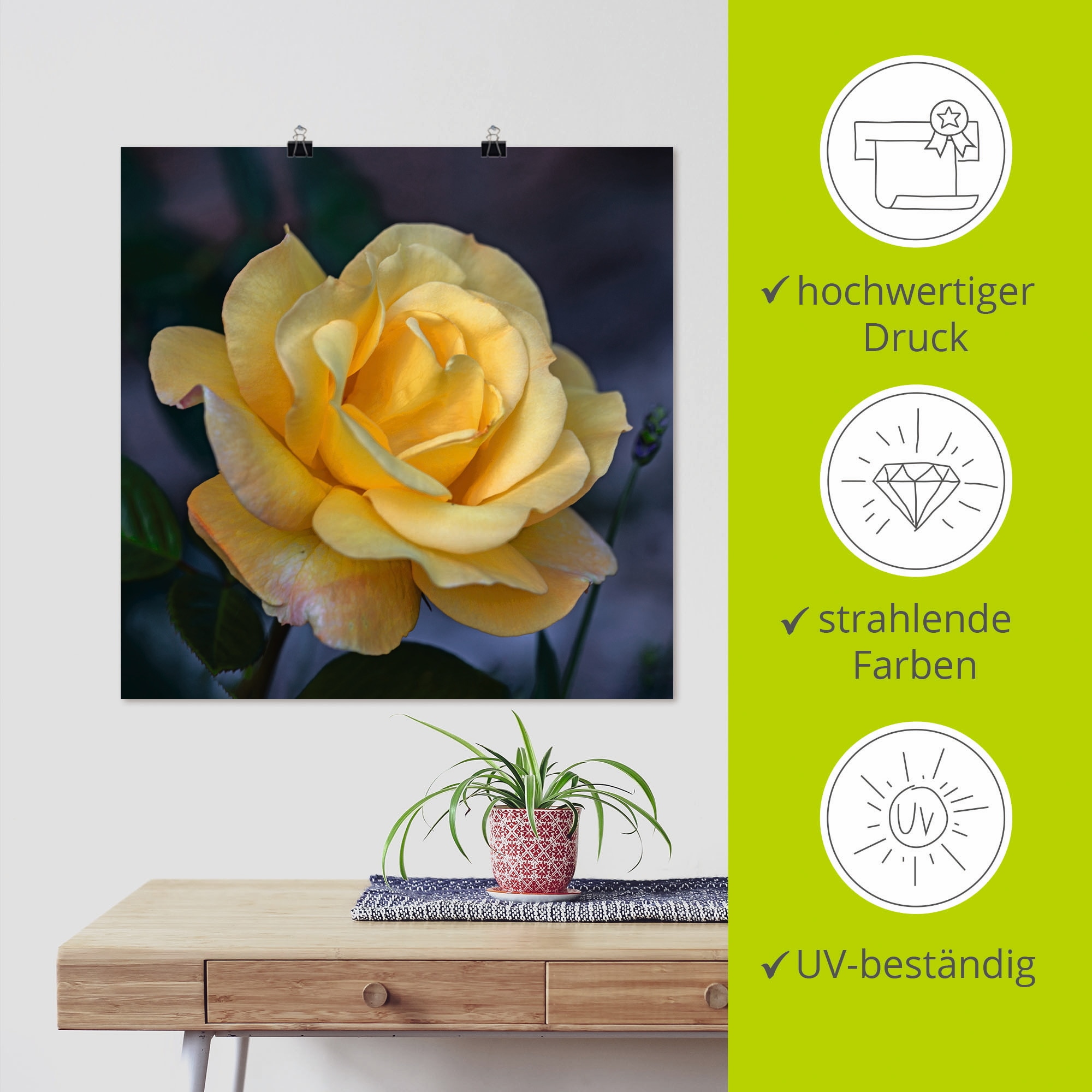 Artland Wandbild »Gelbe Rose«, Blumen, (1 St.), als Leinwandbild, Poster in verschied. Größen