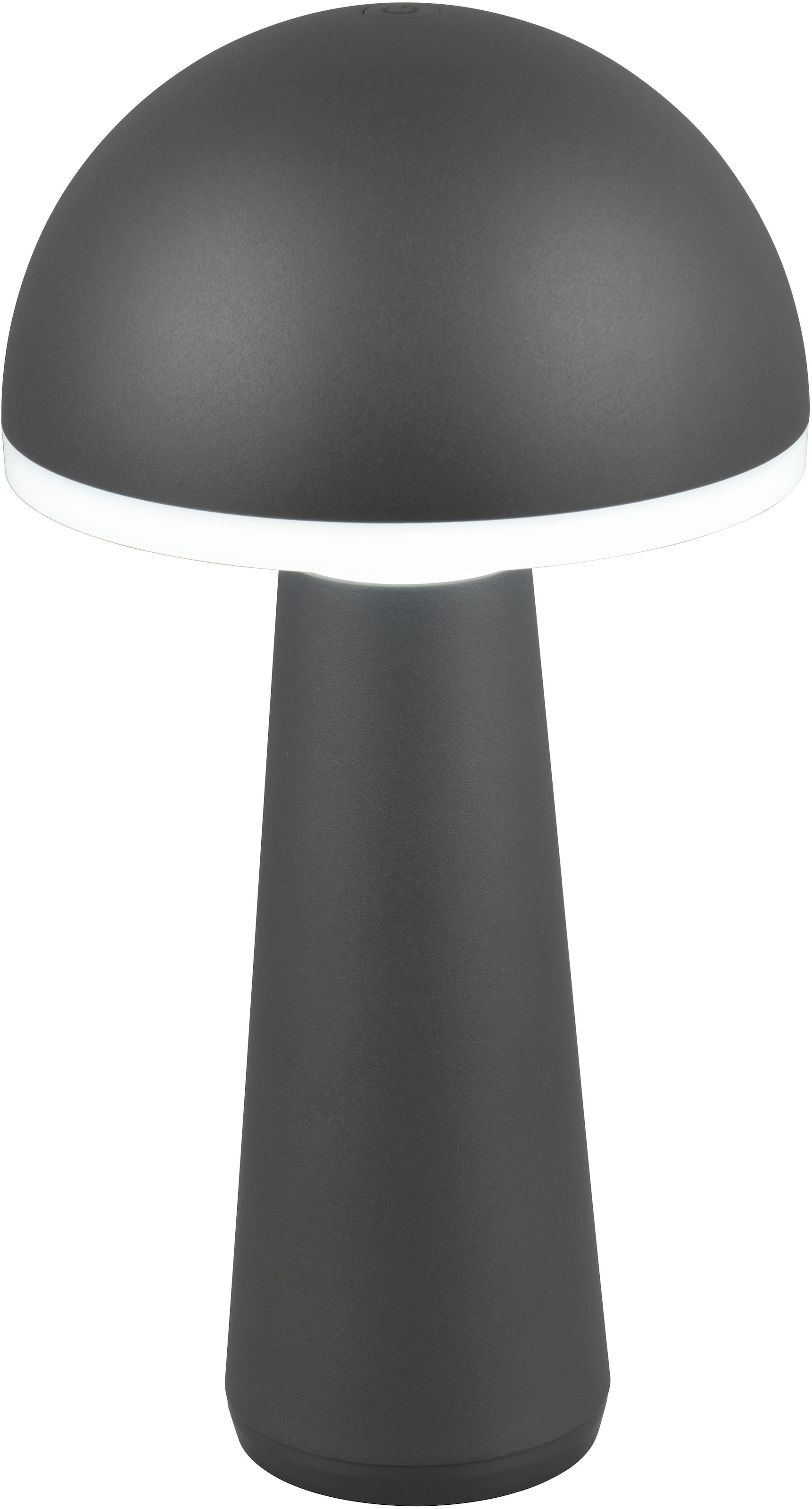 REALITY Leuchten LED Außen-Tischleuchte »FUNGO«, 1 flammig, Leuchtmittel LED-Board | LED fest integriert, Outdoor Akku Tischlampe inkl Ladestation USB-C, Lichtfarbe einstellbar