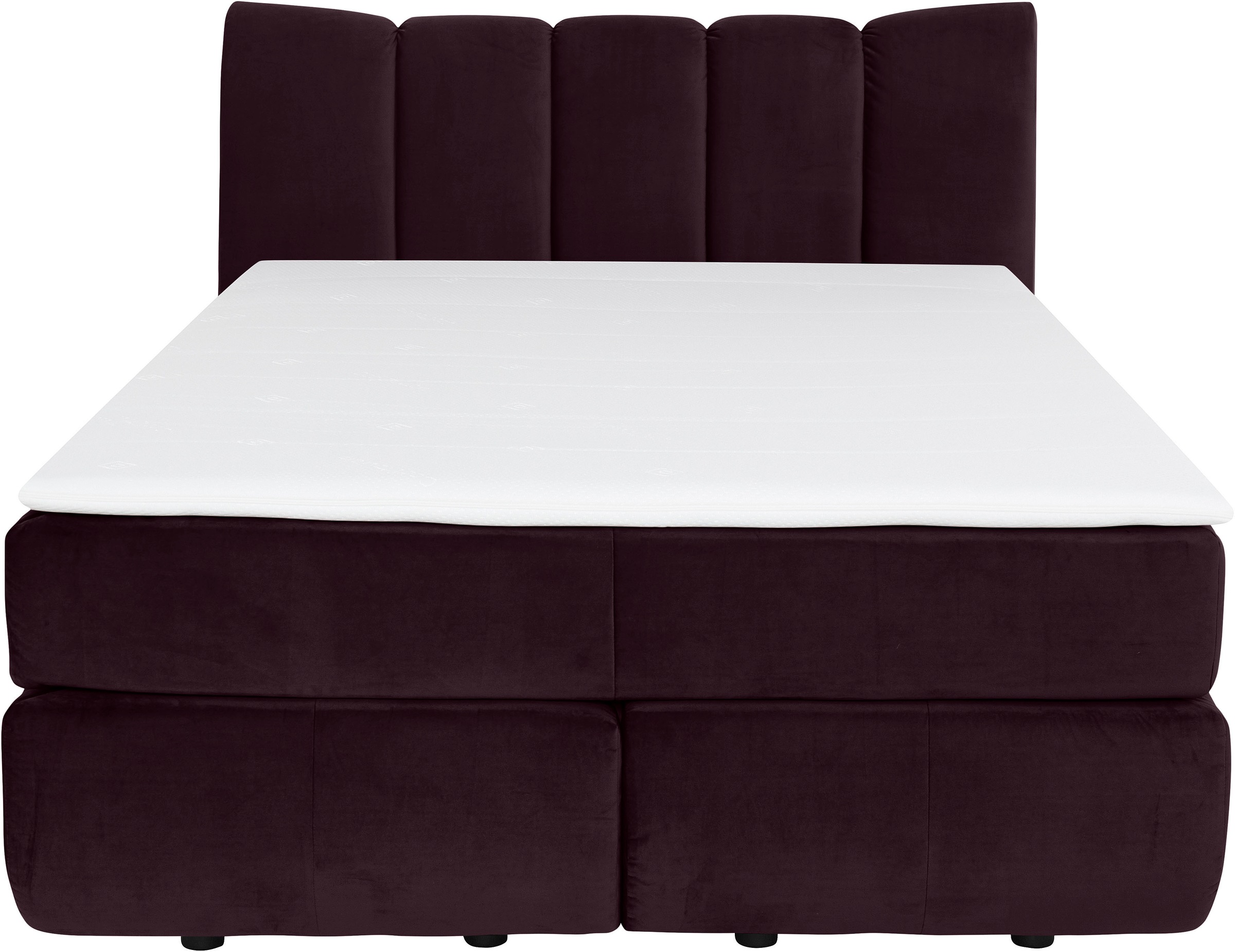 Home affaire Boxspringbett »Océane« Bodenfrei- wirkt freischwebend, verschi günstig online kaufen