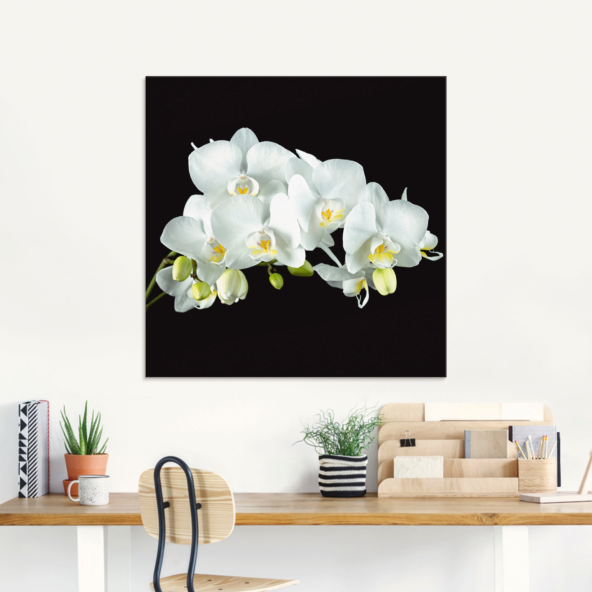 Artland Glasbild »Weiße Orchidee auf Raten Größen Hintergrund«, (1 Blumen, verschiedenen St.), in schwarzem auf bestellen