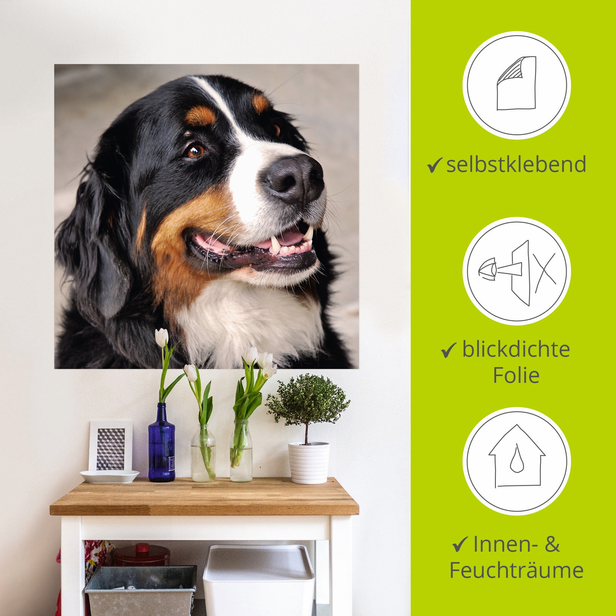 Artland Wandbild »Berner Sennenhund«, Haustiere, (1 St.), als Poster, Wandaufkleber in verschied. Größen