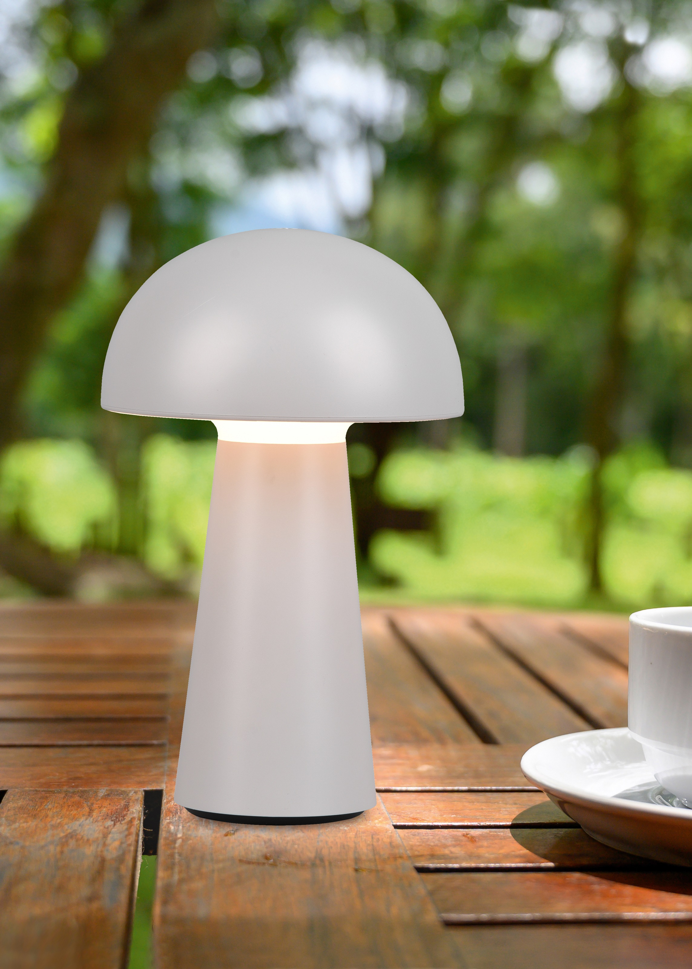REALITY Leuchten LED Außen-Tischleuchte »Lennon«, 2-er Set, Schutzart IP44, günstig online kaufen
