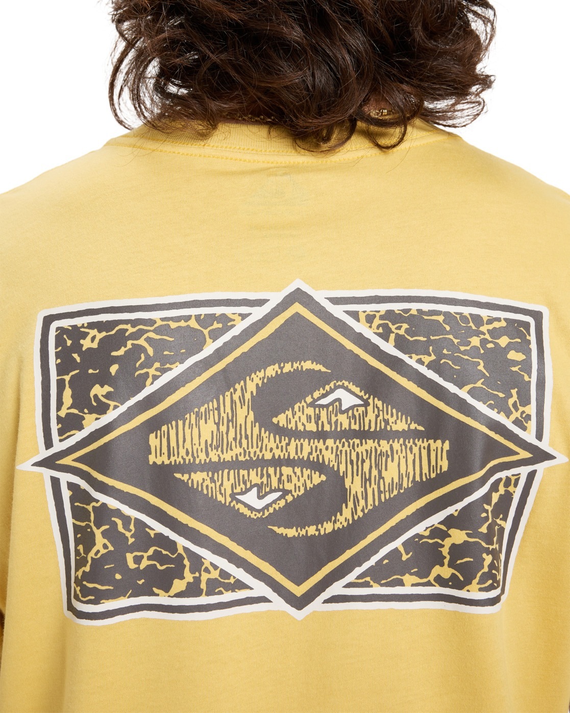 Quiksilver T-Shirt »Evo Crisis«