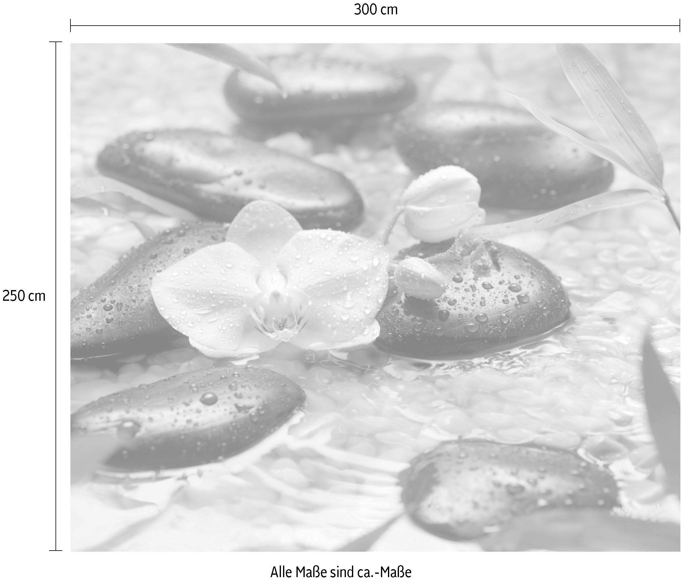 Komar Vliestapete »Digitaldruck Vlies -  Pure - Größe 300 x 250 cm« bedruckt glatt Wohnzimmer, Schlafzimmer