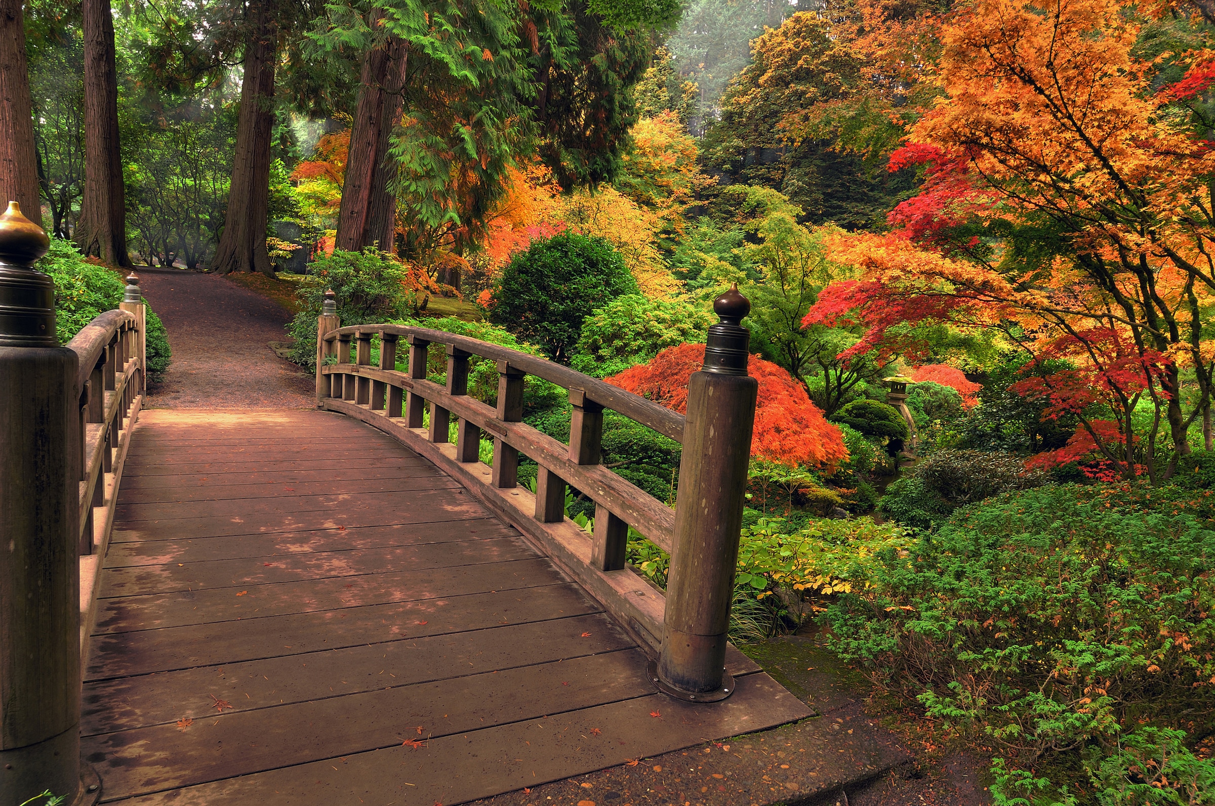 Papermoon Fototapete »Autumn Bridge« günstig online kaufen