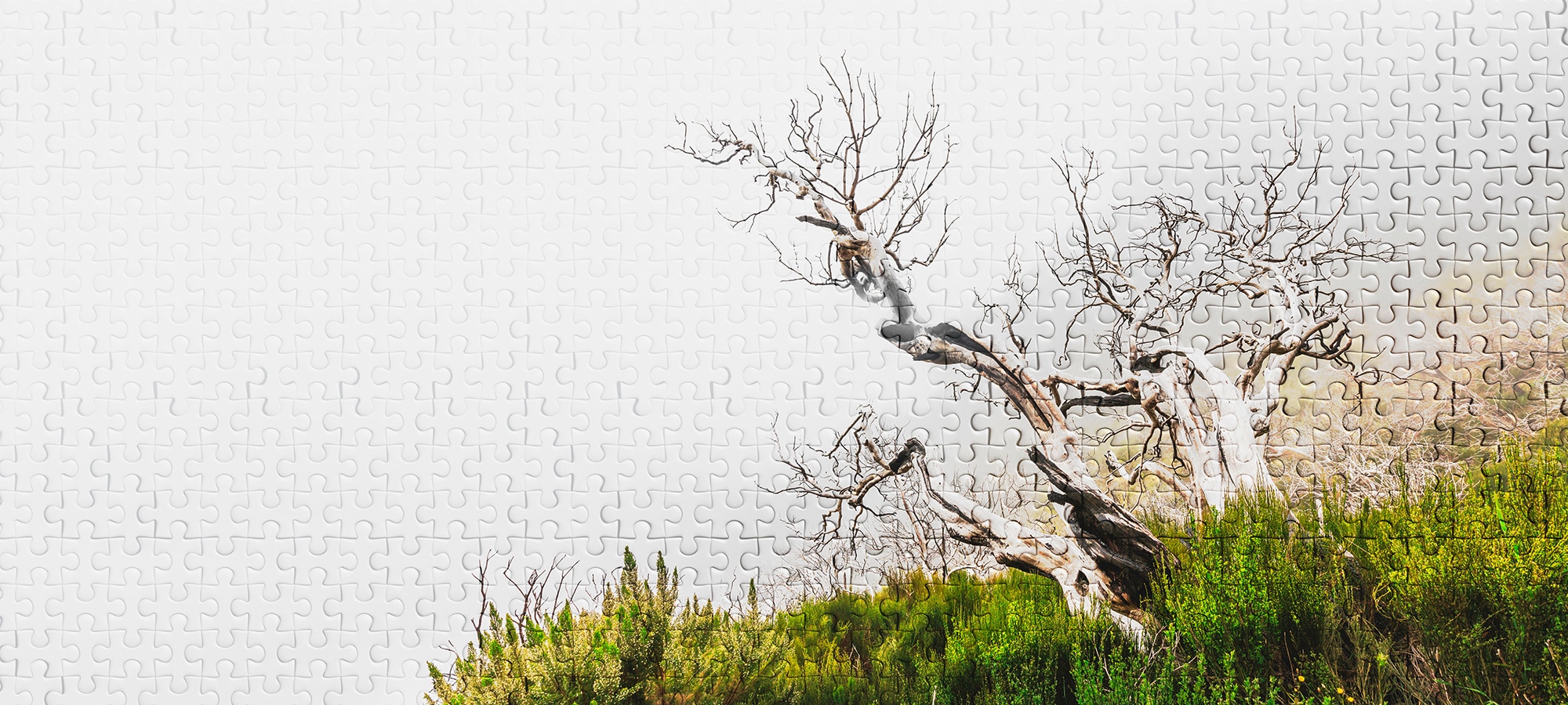 Architects Paper Fototapete »Atelier 47 Death Tree Puzzle 2« Wald glatt Vli günstig online kaufen