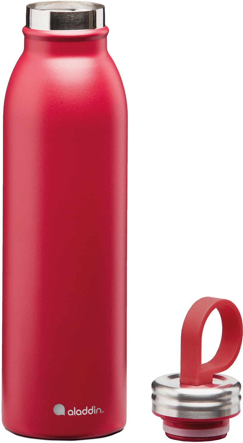 aladdin Isolierflasche »Chilled Thermavac«, auslaufsicher, Edeltahl in Trendfarben, 0,55 ml