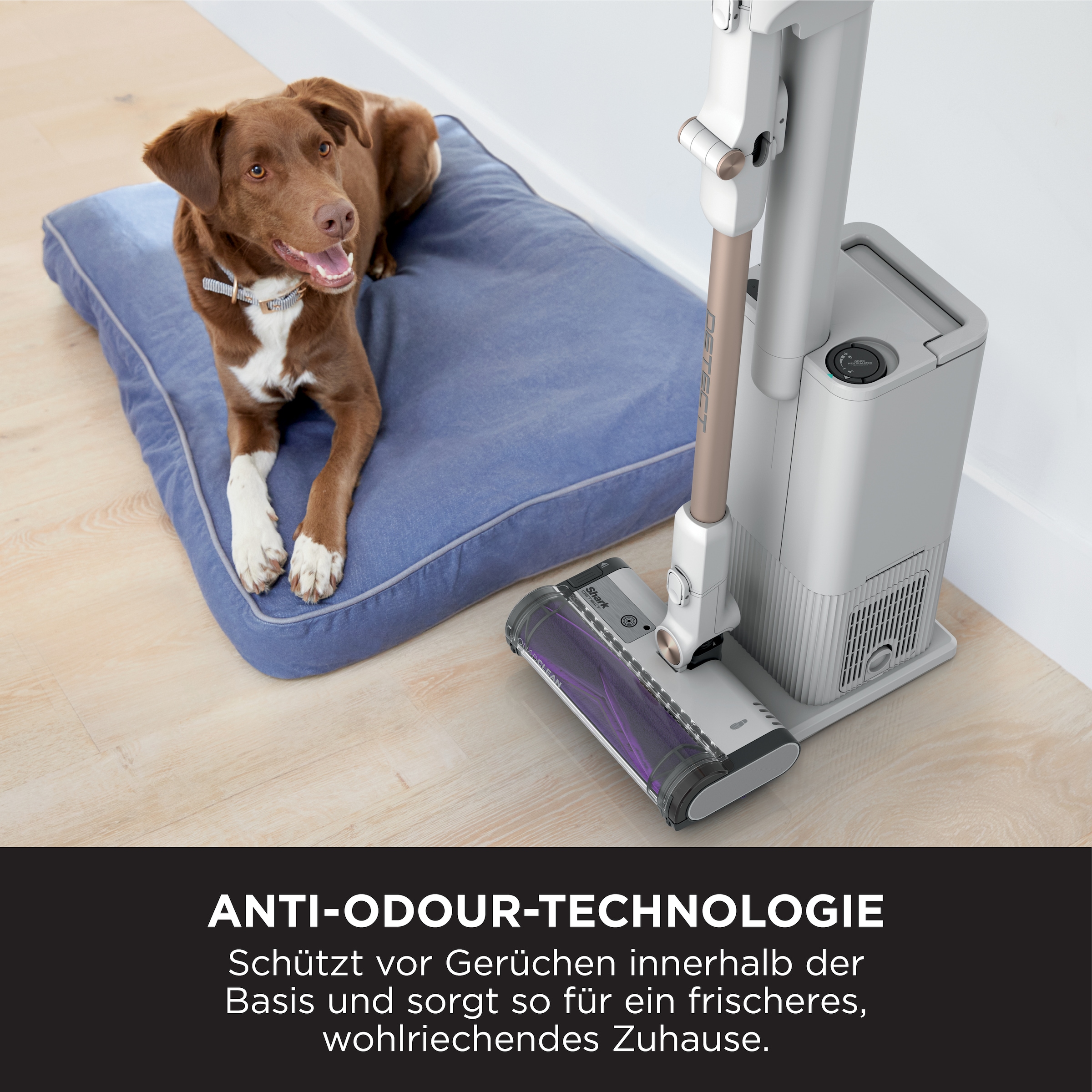 Shark Akku-Bodenstaubsauger »Detect Clean & Empty kabelloser Staubsauger IW3612EUT«, mit automatischem Entleerungssystem für Tierhaare