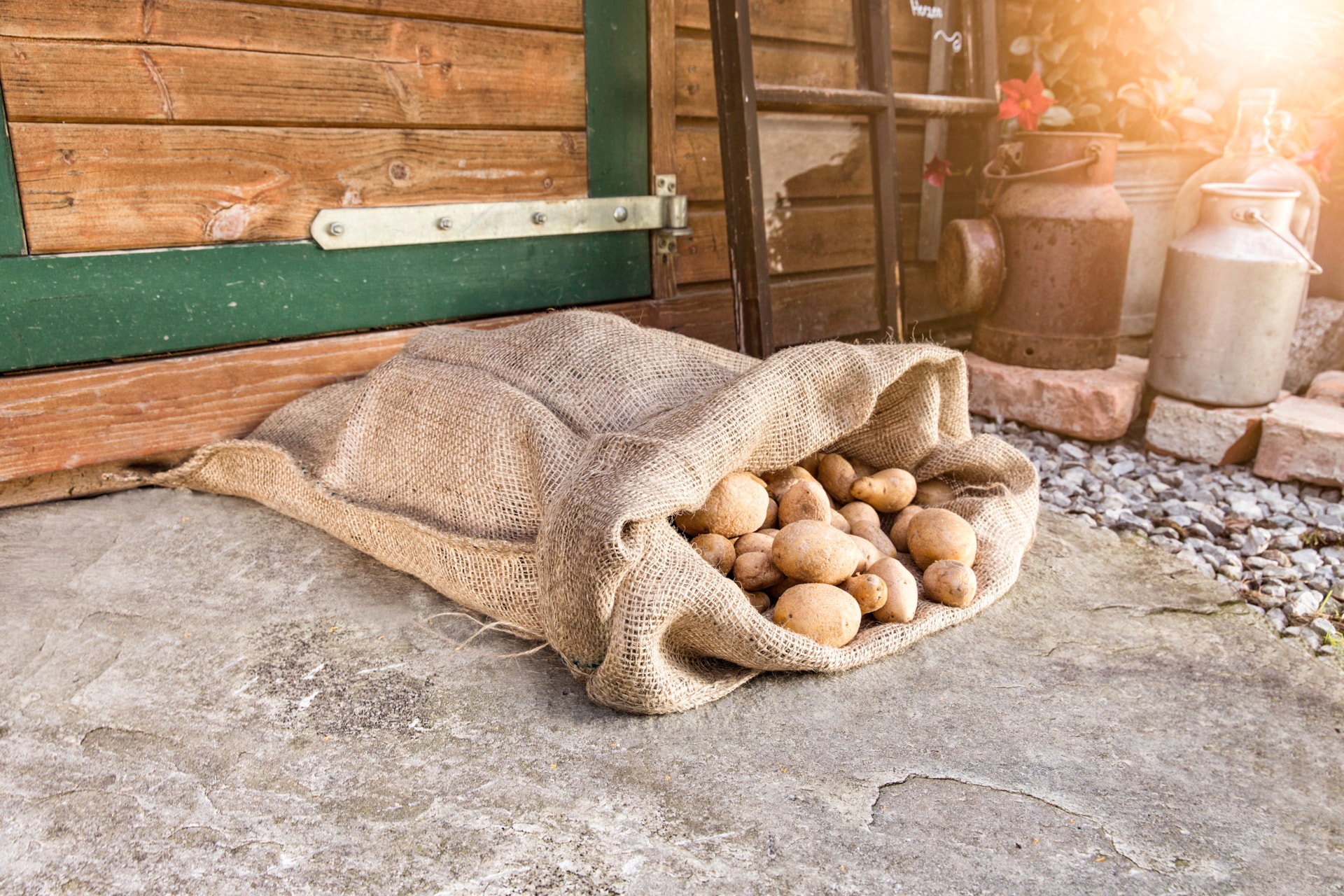 Windhager Winterschutzvlies »Jute-Sack dekorativer Topfschutz für Pflanzen« 1 Stk. tlg. inklusive Befestigungsband, erhältlich in unterschiedlichen Größen