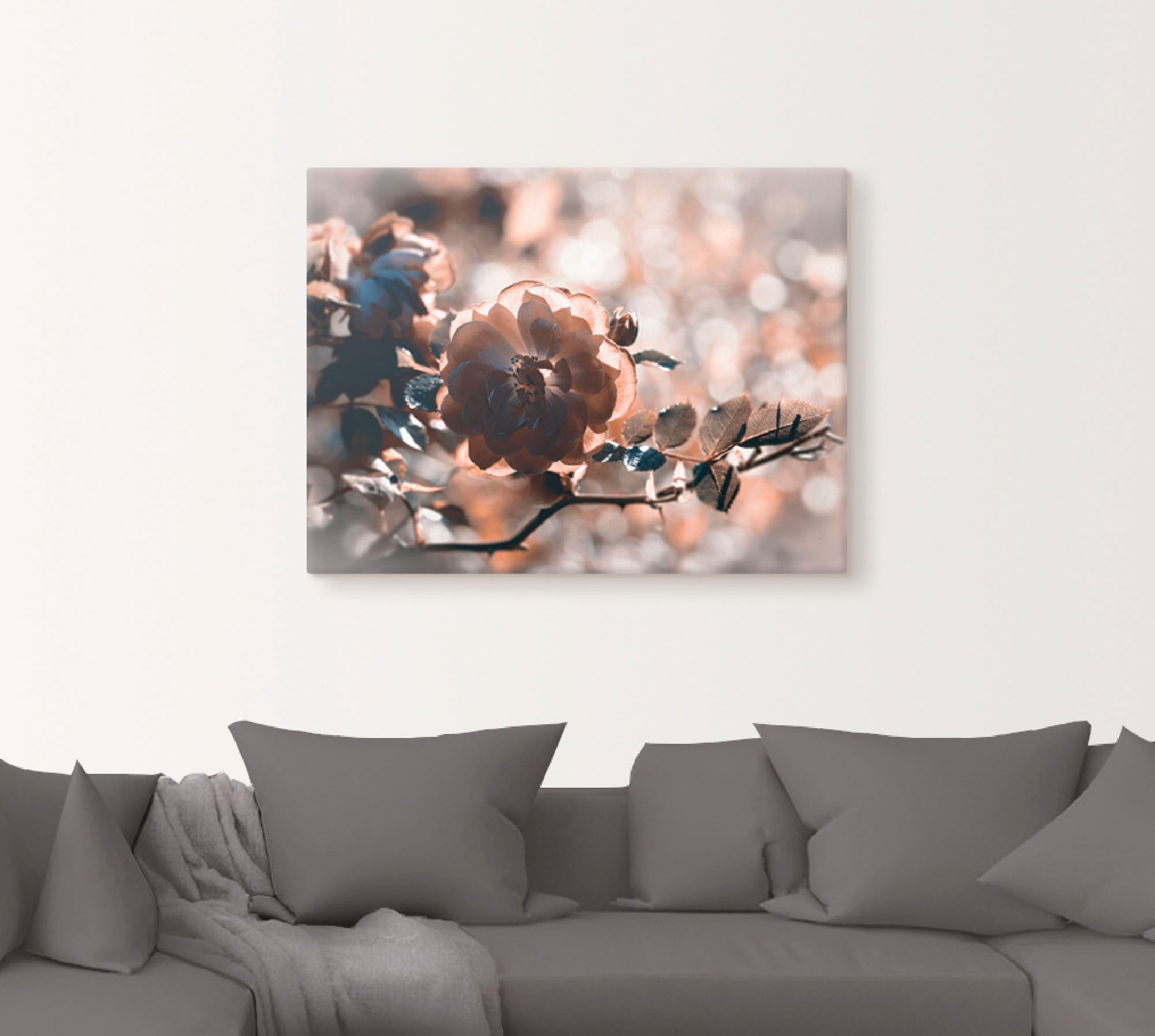 Artland Wandbild "Rose", Blumen, (1 St.), als Leinwandbild, Wandaufkleber i günstig online kaufen