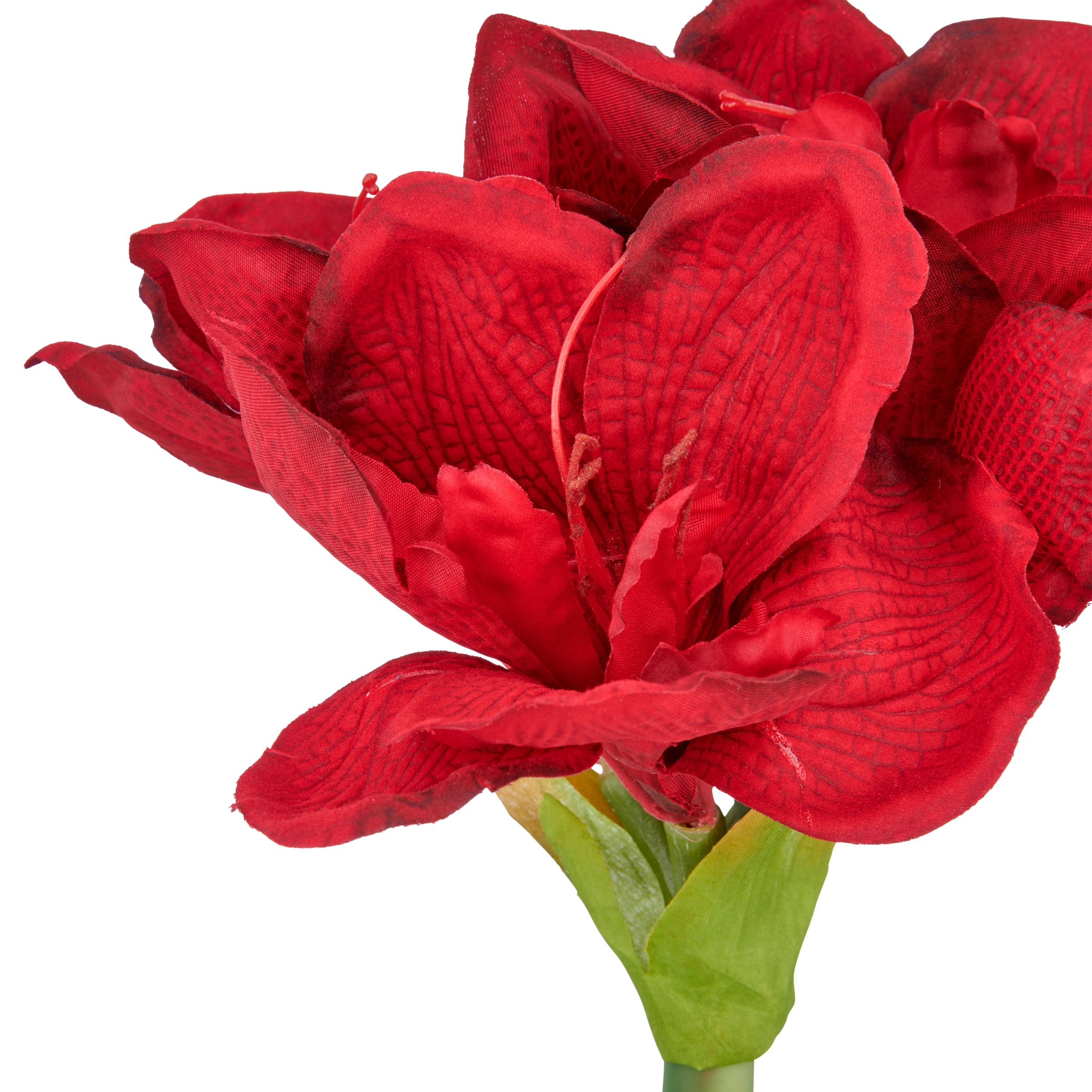 Creativ green Kunstblume »Amaryllis« mit traumhaft schöner Blüte