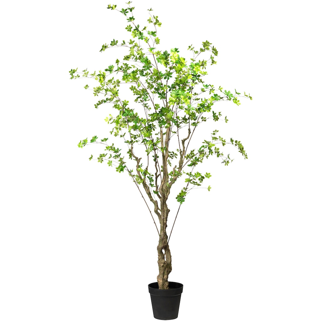 Creativ green Kunstbaum »Louisiana-Baum«, (1 St.)