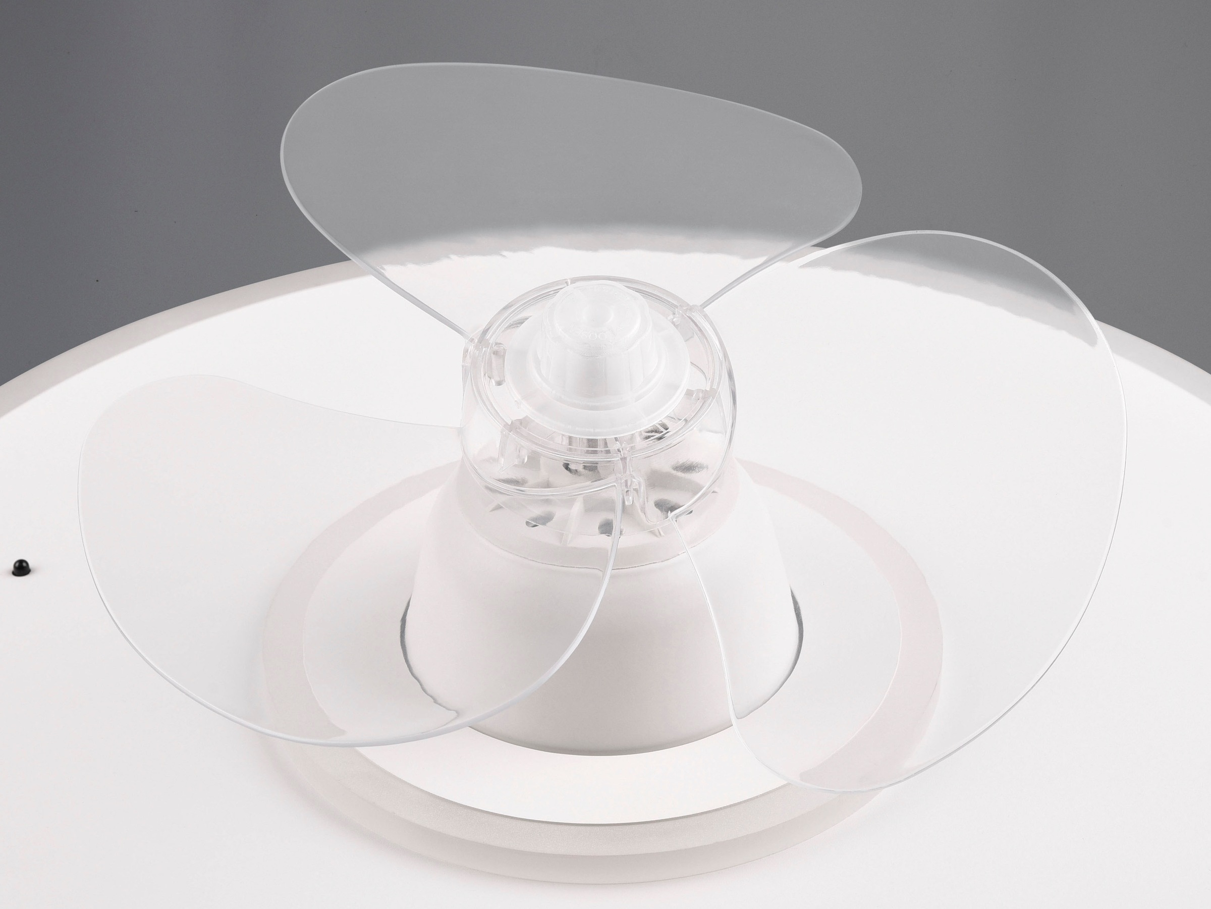 REALITY Leuchten LED Deckenleuchte »Nybro Deckenventilator«, 1 flammig, Leuchtmittel LED-Board | LED fest integriert, Deckenlampe, Ventilator 3 Stufen, Fernbedienung,Lichtfarbe einstellbar
