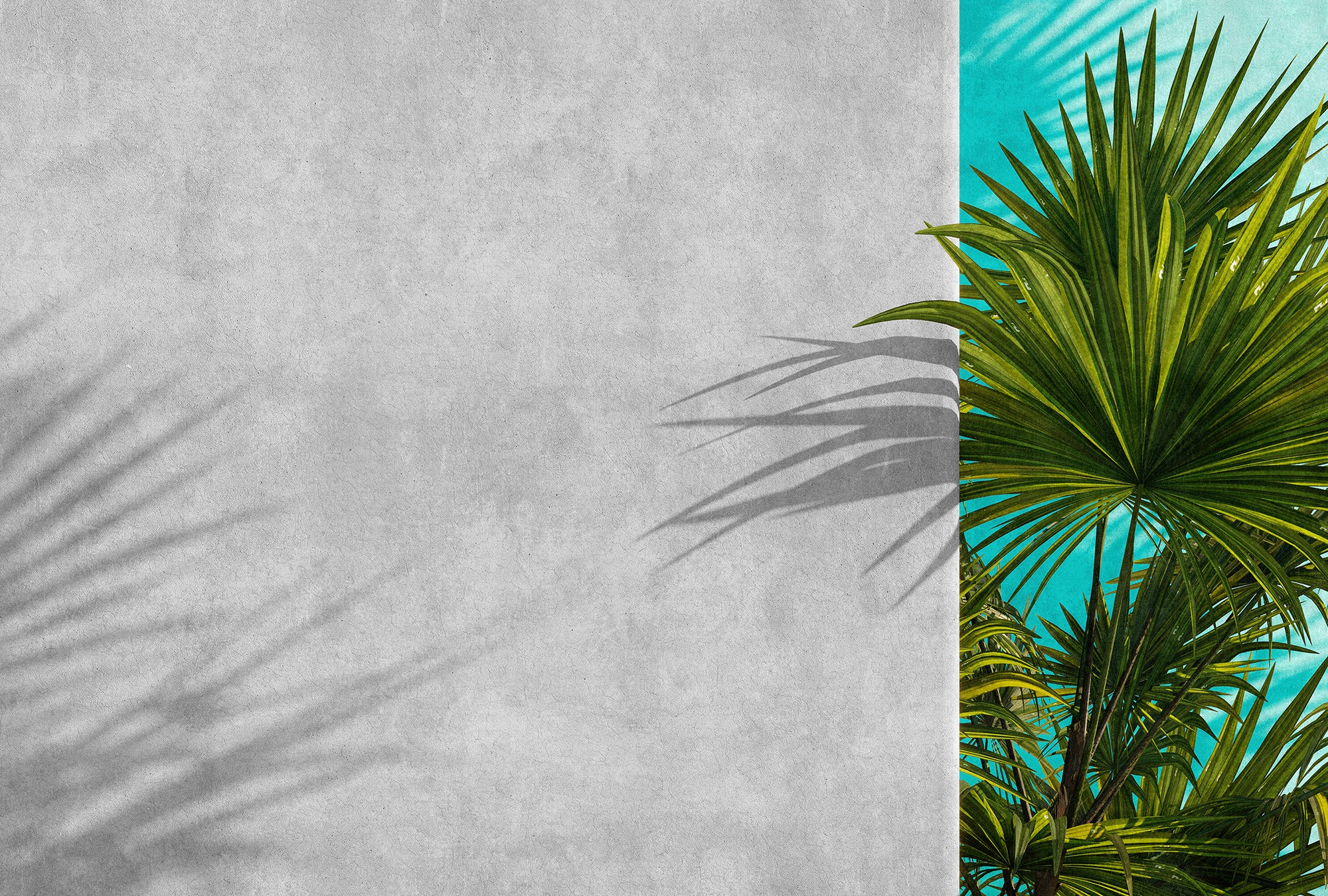 living walls Fototapete »Walls by Patel Tunis« glatt Vlies, Wand günstig online kaufen