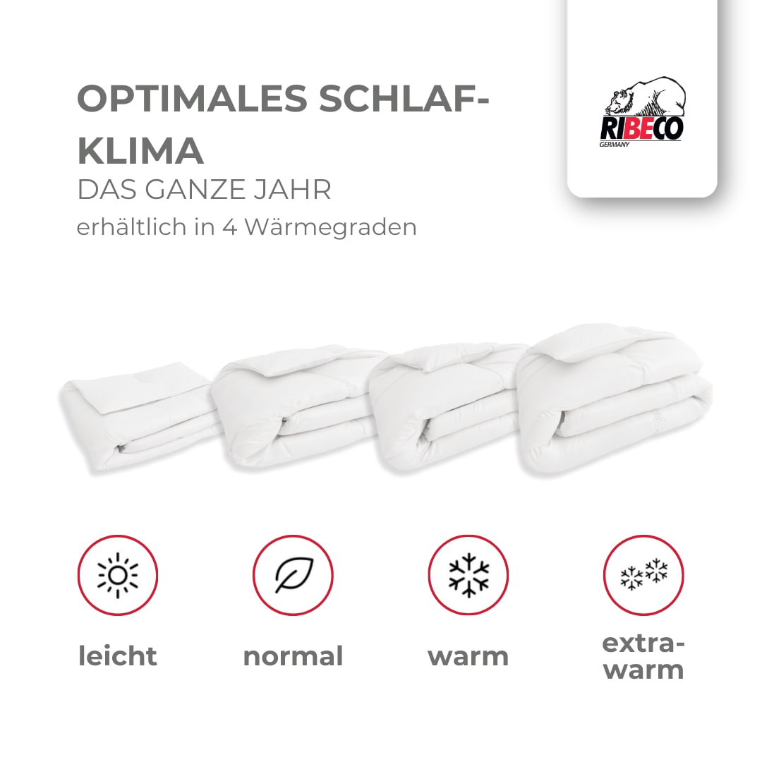 RIBECO Daunenbettdecke »Johanna« leicht Füllung 80Daunen20Federn Bezug Baumwolle 1 Stk. tlg. Naturprodukt zum TOP-Preis!