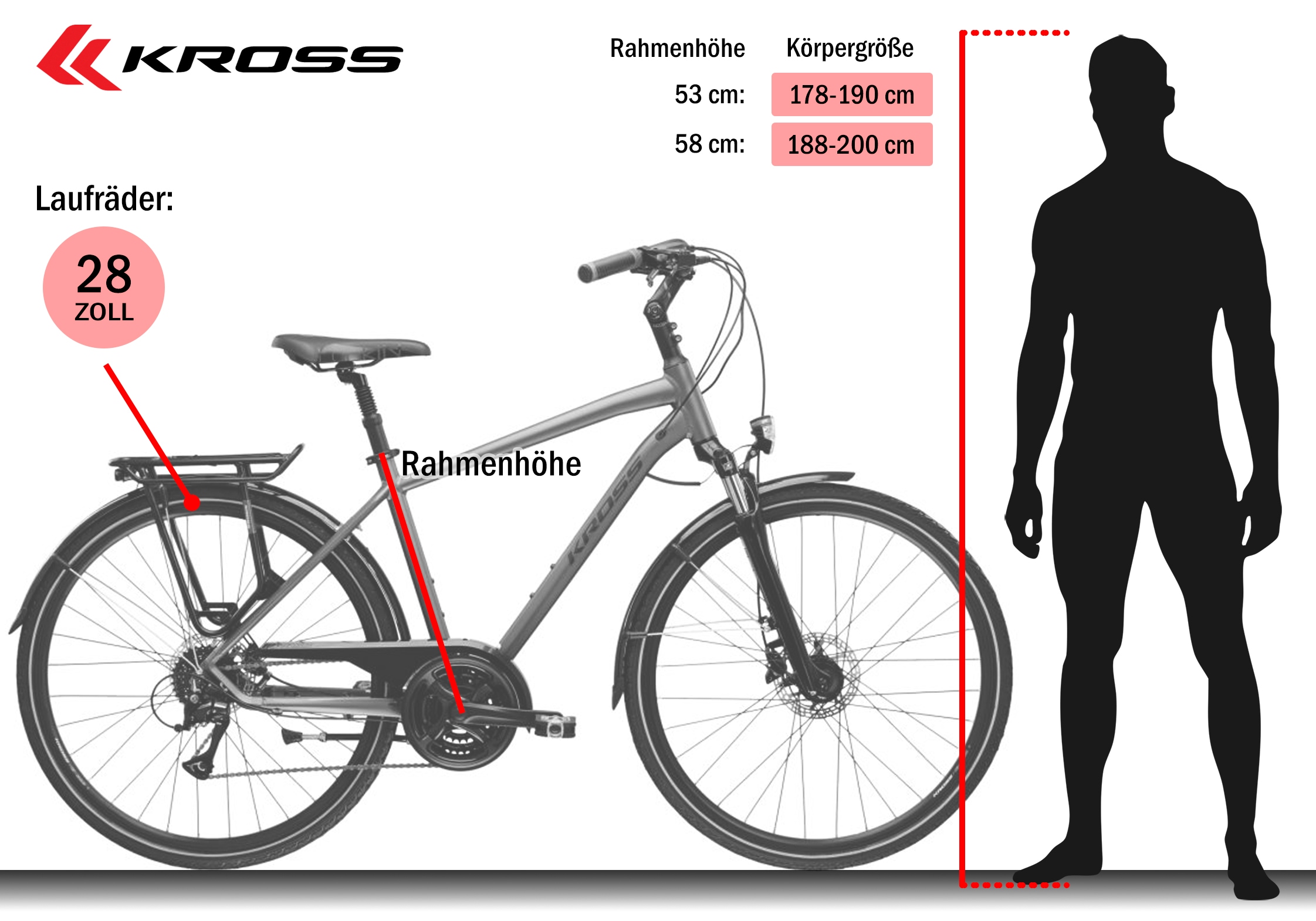 Kross Trekkingrad »Trekkingrad Trans 4.0 grau 8 Gänge« 8 Gang Shimano ACERA M3020 Schaltwerk Kettenschaltung