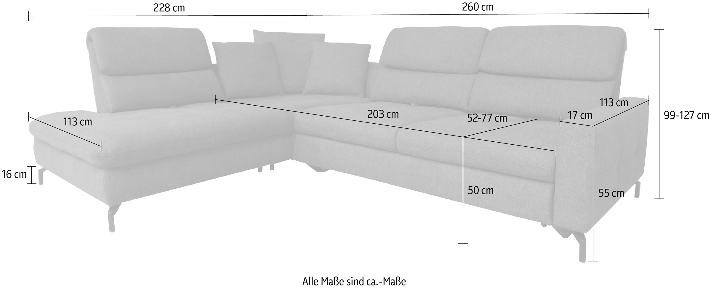 alina Ecksofa »Louis«, Breite 260 cm, Rückenlehnenverstellung, wahlweise mit Bettfunktion