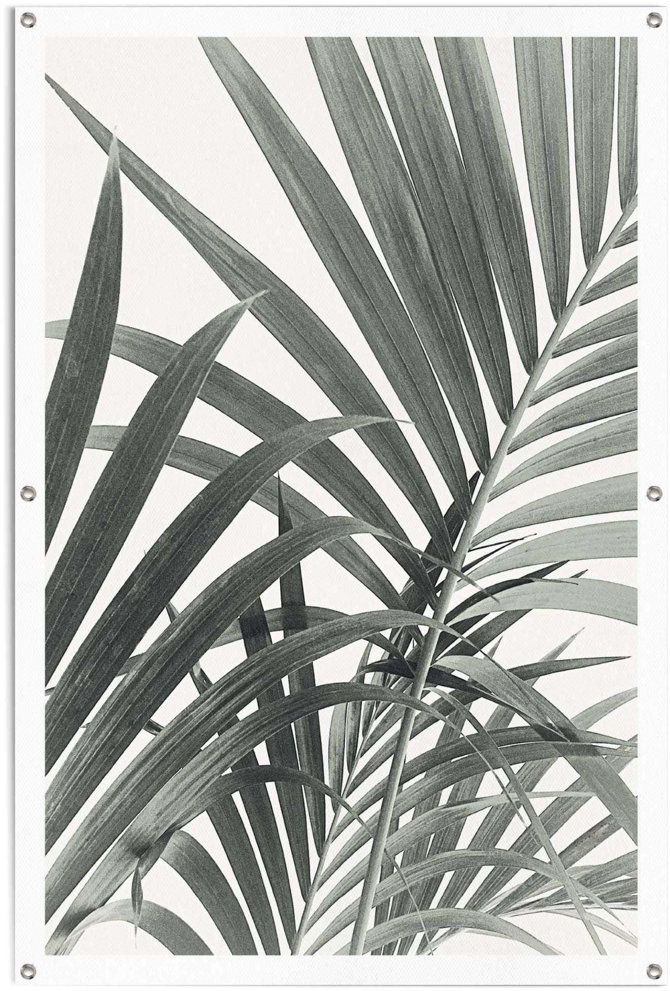 Reinders! Poster »Palmenblätter«, leichtes und Gartenposter für kaufen Rechnung Außeneinsatz den wasserfestes auf