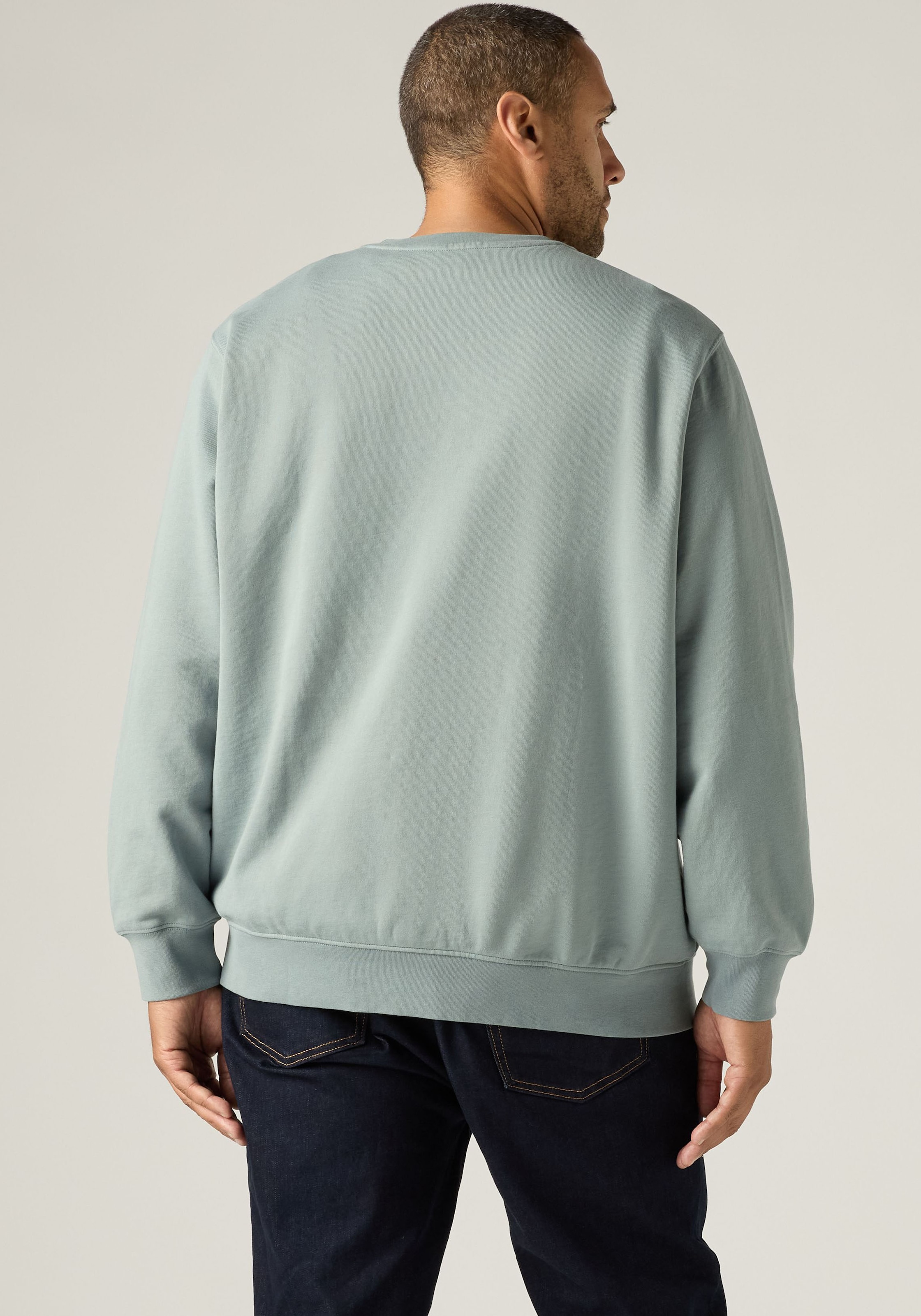 Levi's® Plus Sweatshirt »BIG ORIGINAL HM CREW«, mit Batwing-Logobadge
