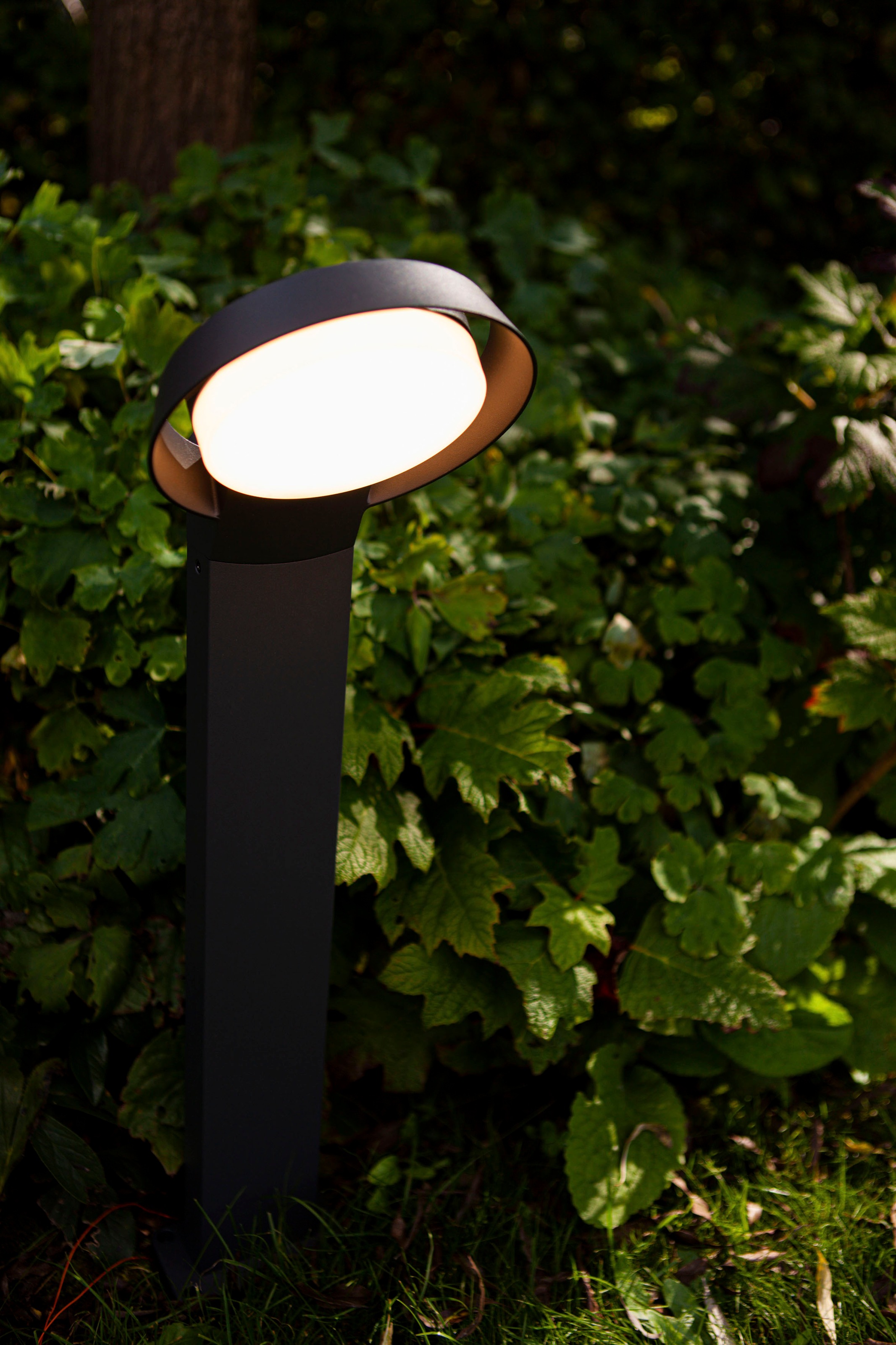 LUTEC LED Außen-Wandleuchte »POLO«, Leuchtmittel LED-Modul | LED fest integriert