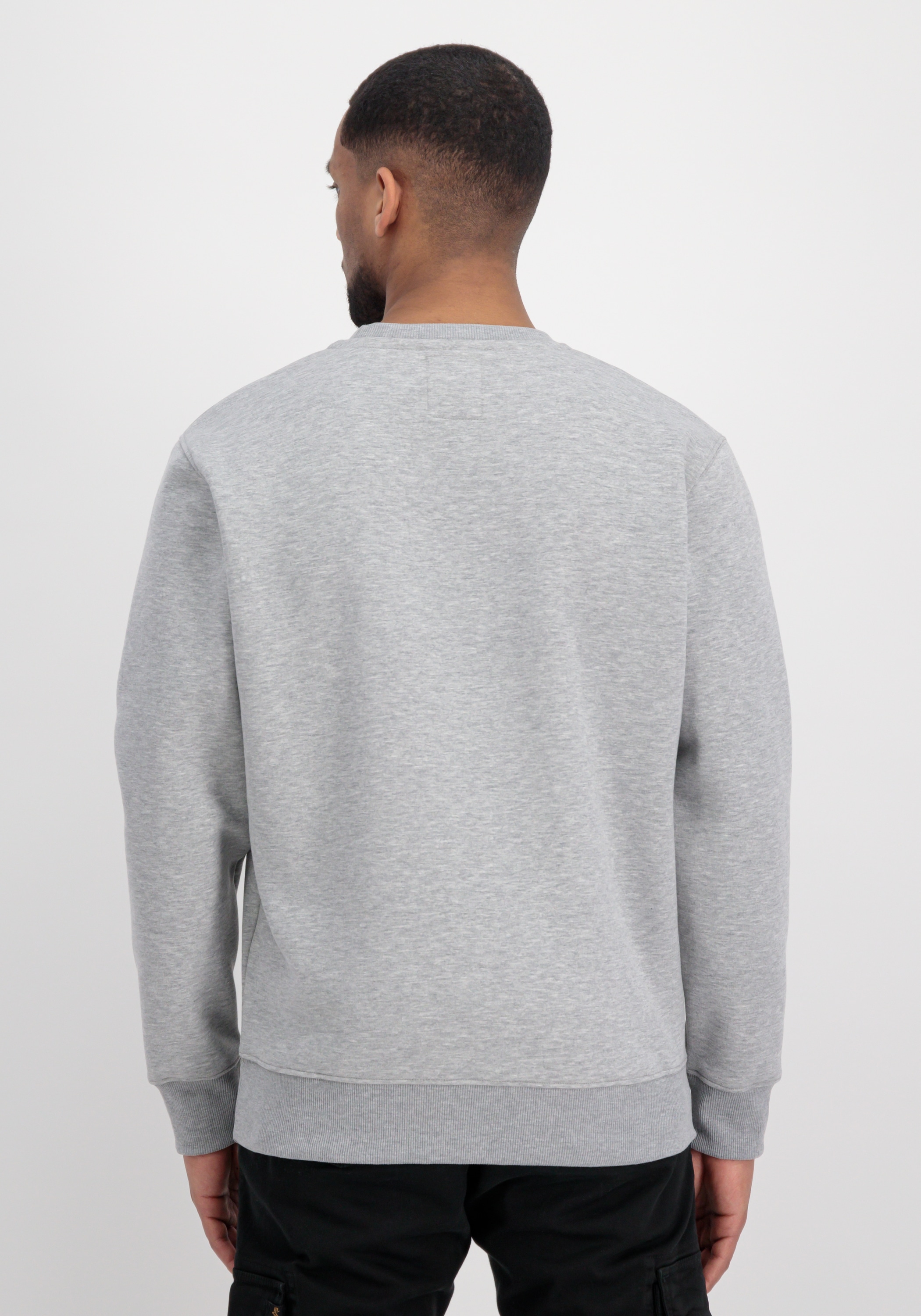 Alpha Industries Sweater »Alpha - Rubber« Men Basic Sweatshirts Sweater online kaufen Industries