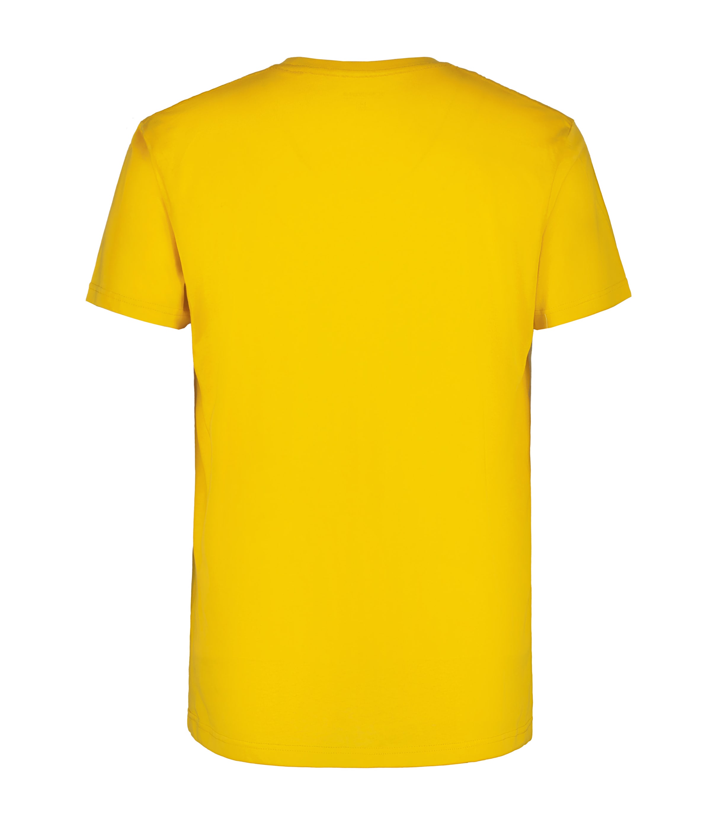 Icepeak T-Shirt »MILLINGTON« Print T-Shirt, für sportlichen Look im Alltag