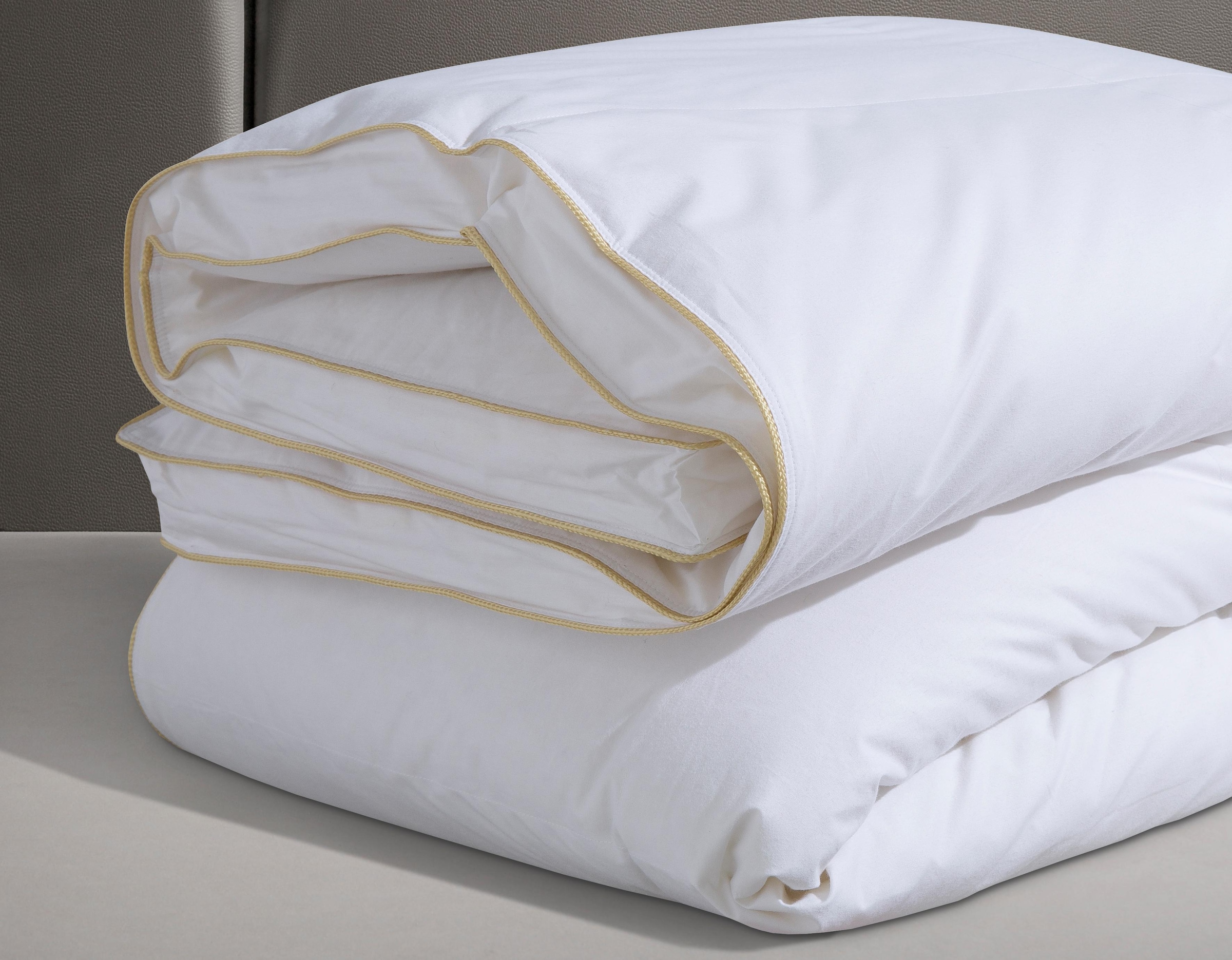 Hanse by RIBECO Daunenbettdecke »Leo«, extrawarm, Füllung 90% Daunen & 10% Federn, (1 St.), Mit einer edlen "First Class"-Stickerei!