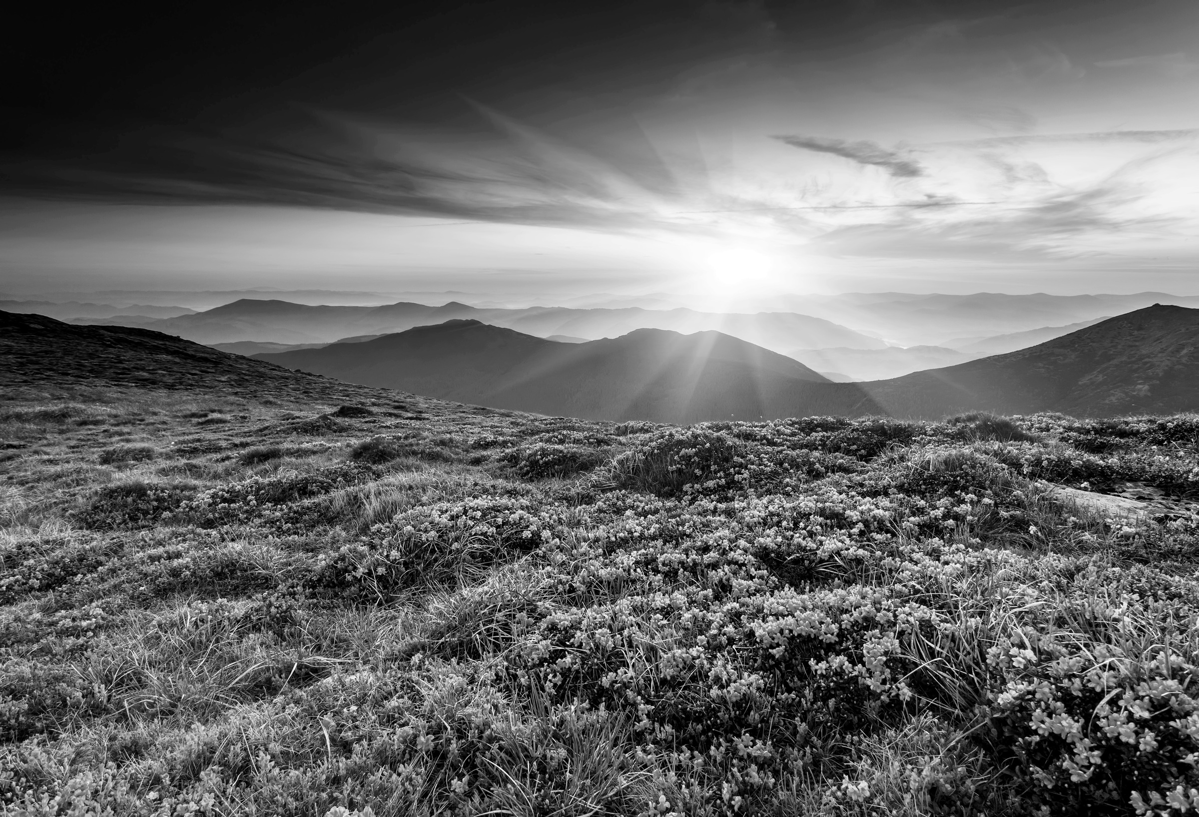 Papermoon Fototapete »Landschaft Schwarz & Weiß« günstig online kaufen