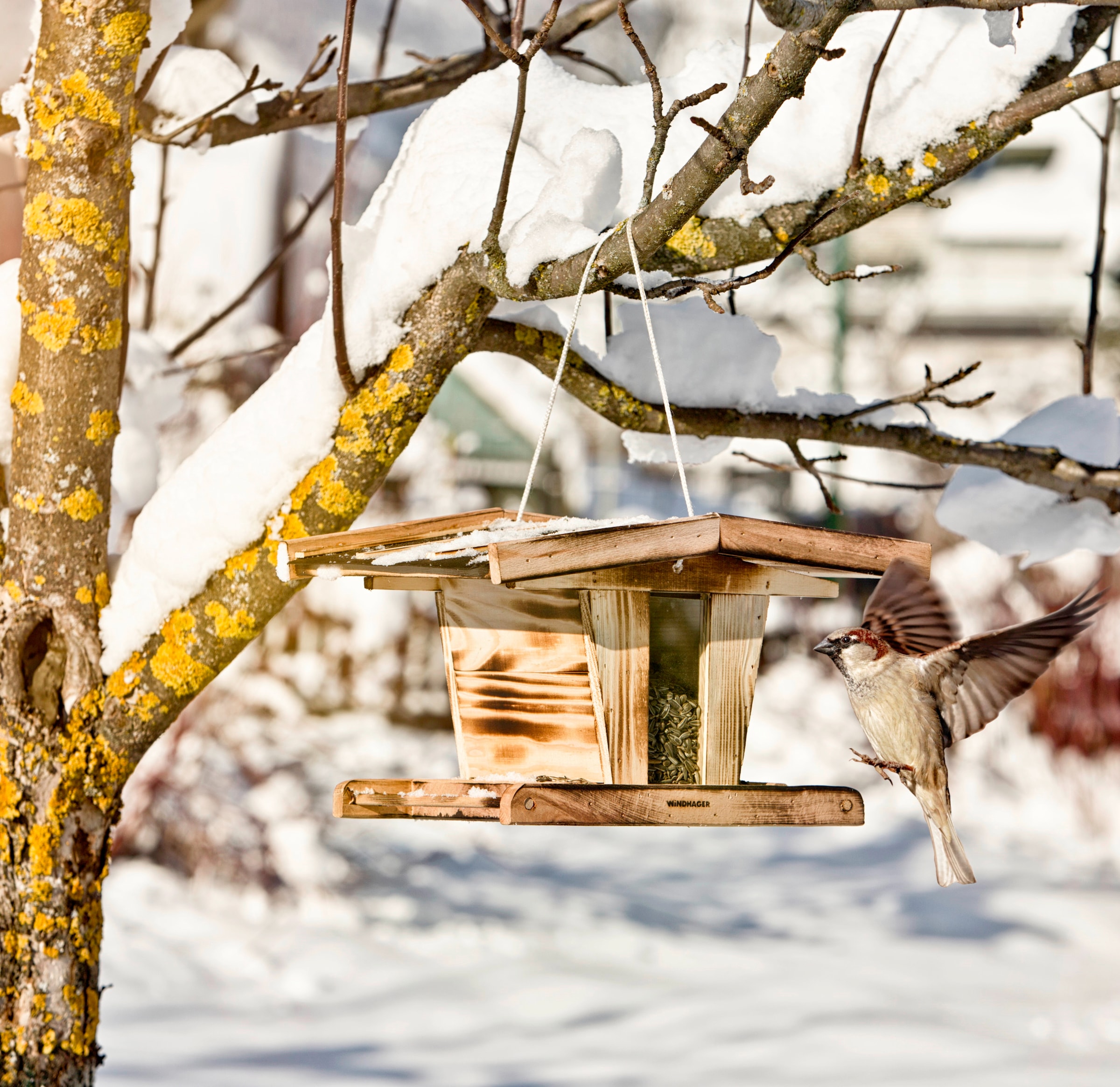 Windhager Vogelhaus »Chalet« BxTxH: 25x31,5x20 cm