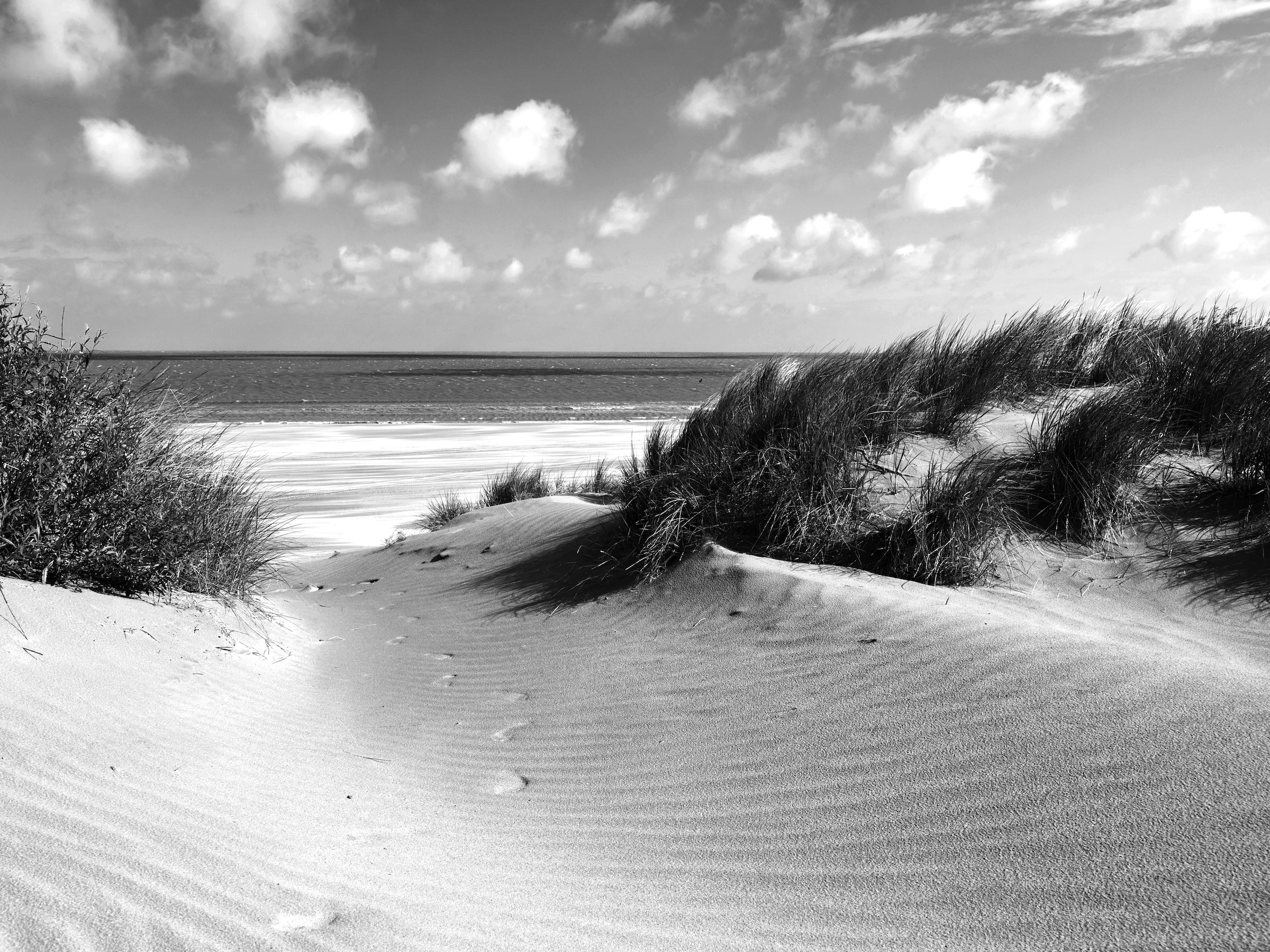 Papermoon Fototapete »Strand Schwarz & Weiß« günstig online kaufen