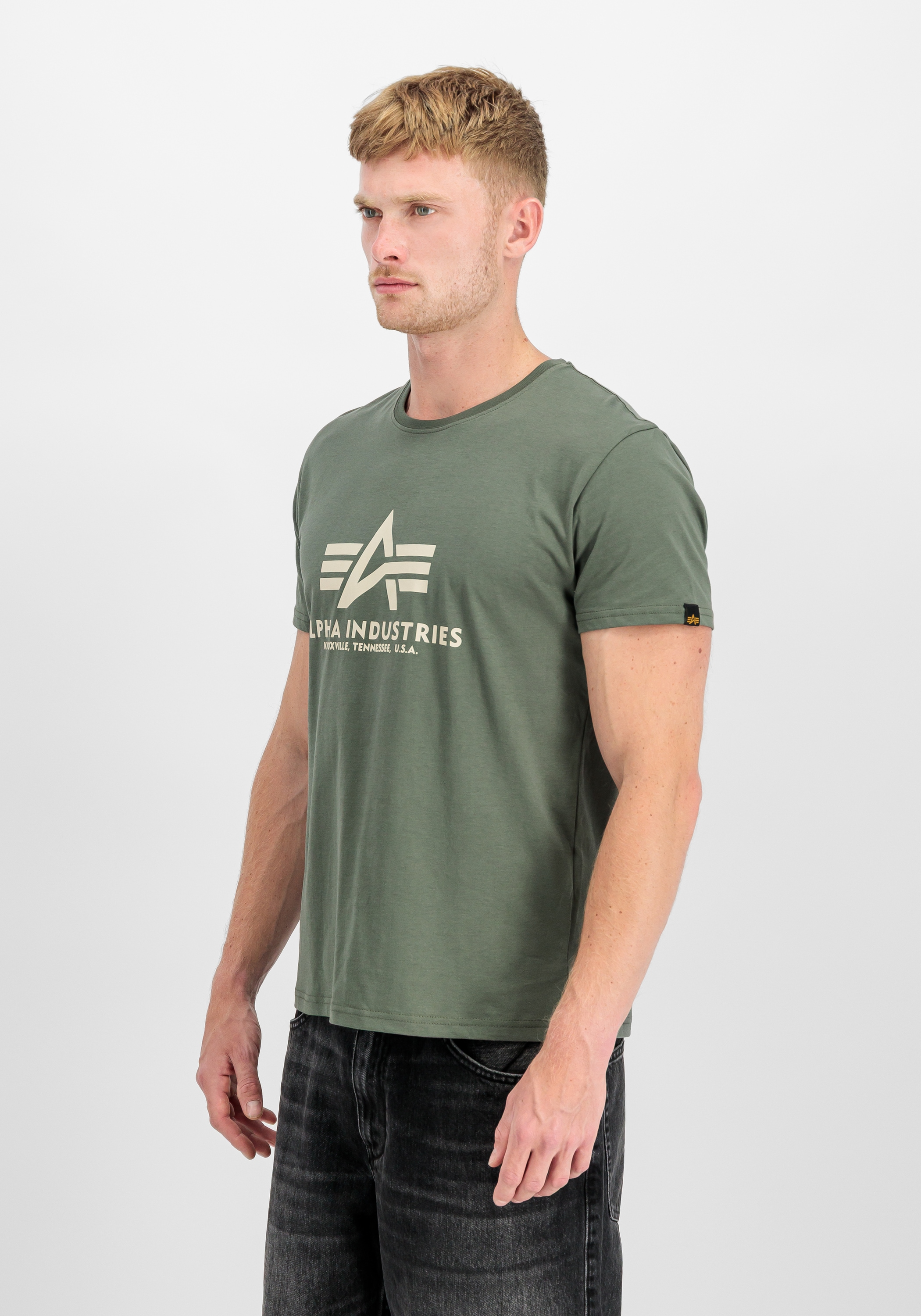 Alpha Industries T-Shirt »Basic T-Shirt BL«